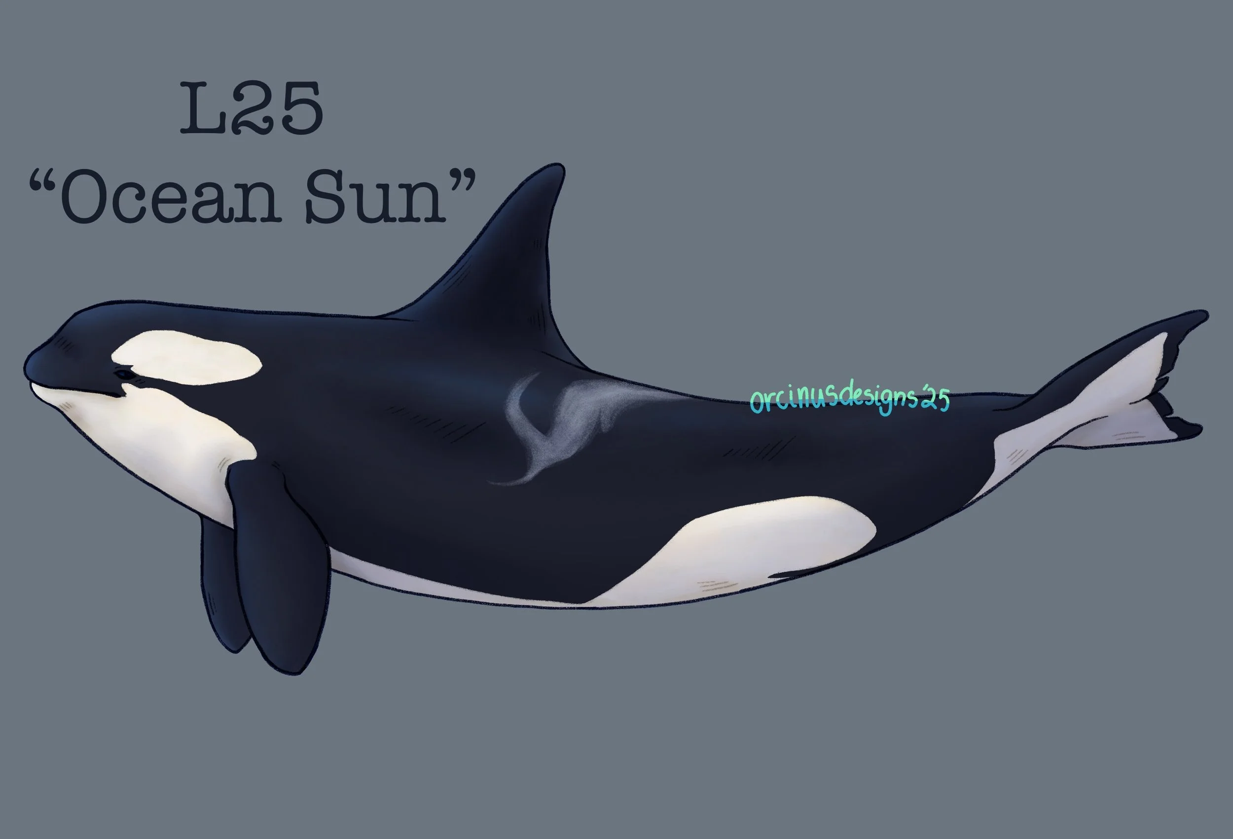 ocean sun.JPEG