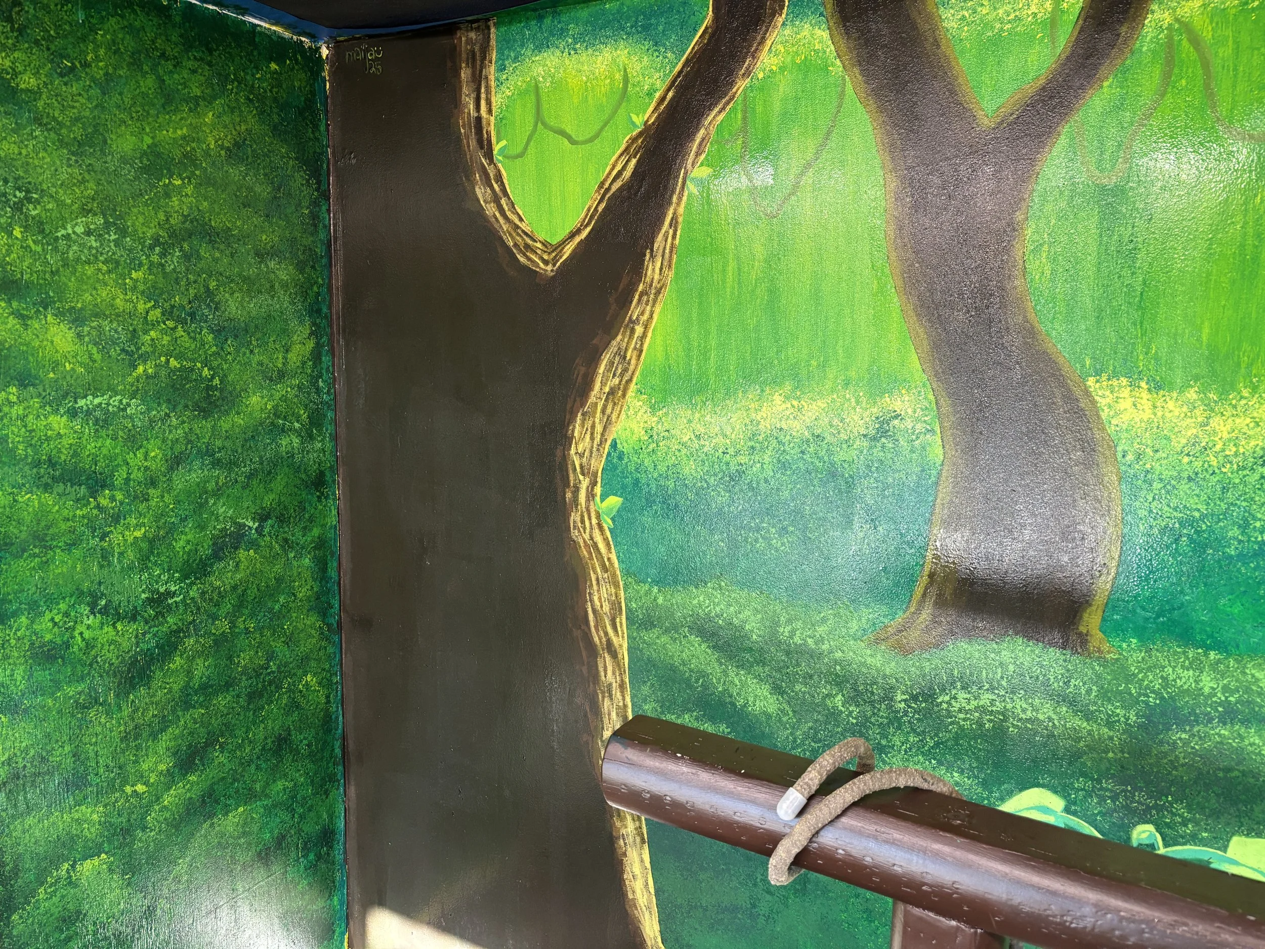 Photo Mar 22 2025, 5 35 54 PM.jpg