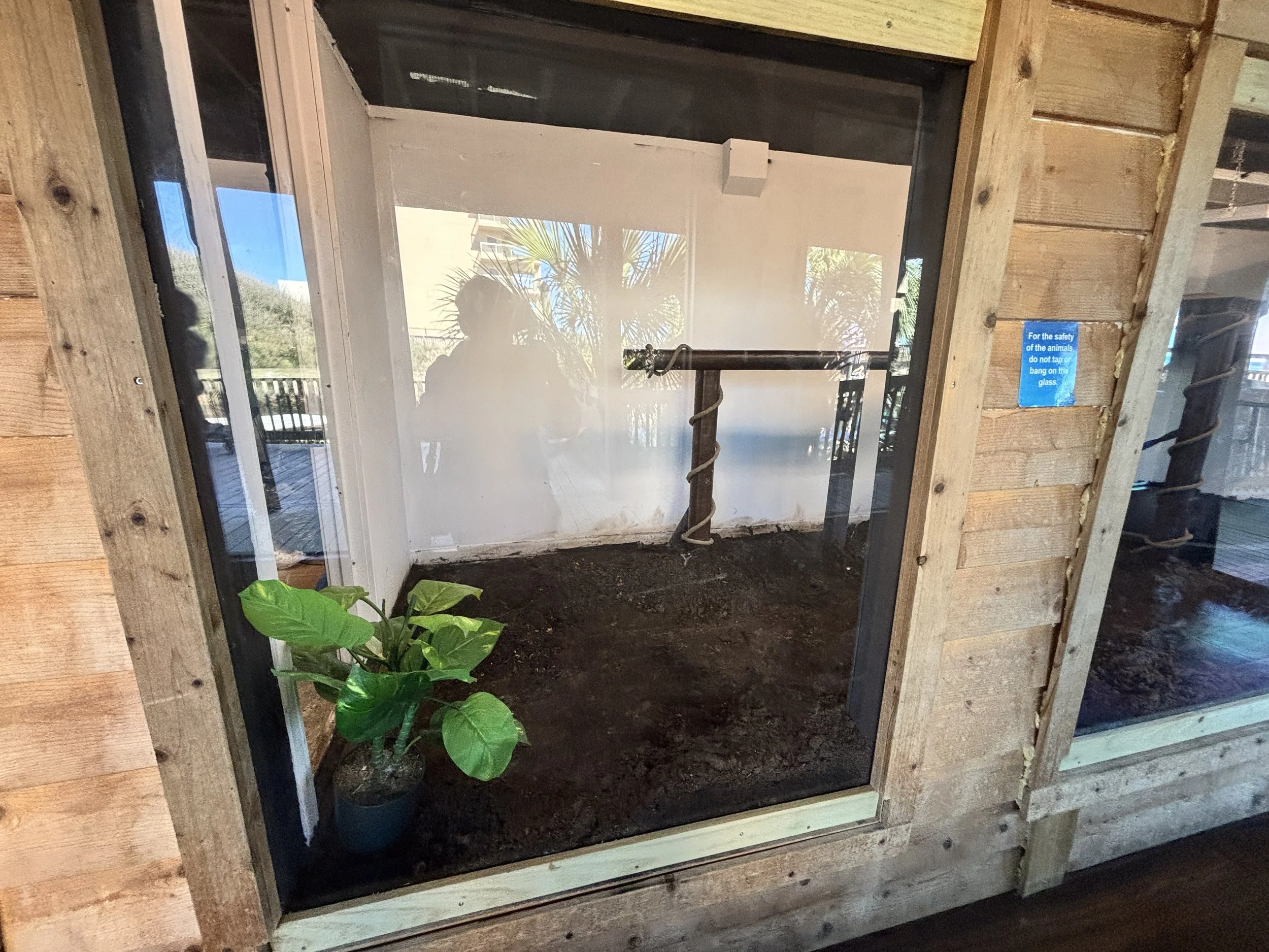 Photo Mar 18 2025, 10 32 23 AM.jpg