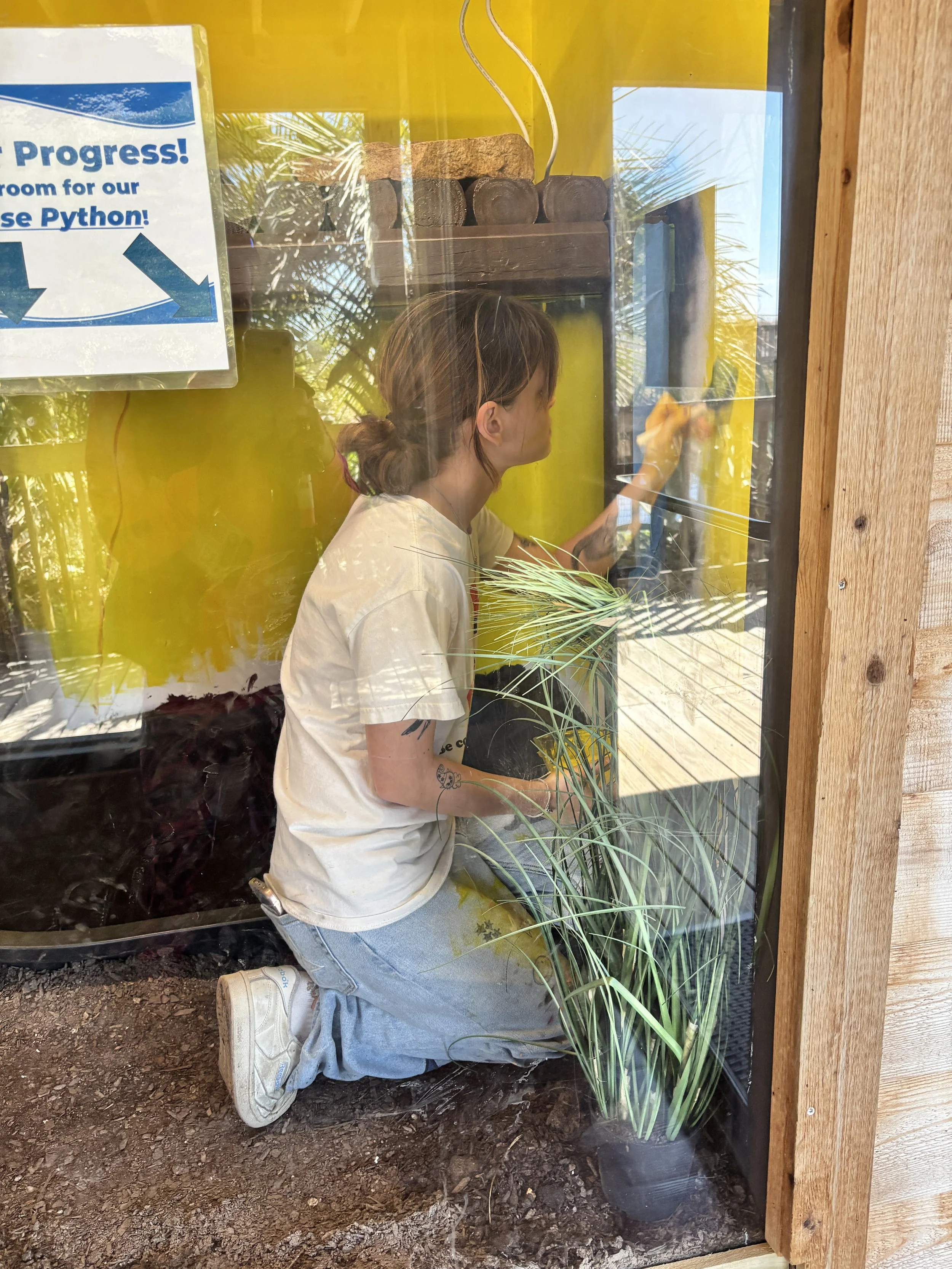 Photo Mar 18 2025, 2 47 19 PM.jpg