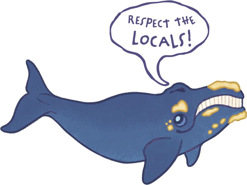 right_whale_sticker.png