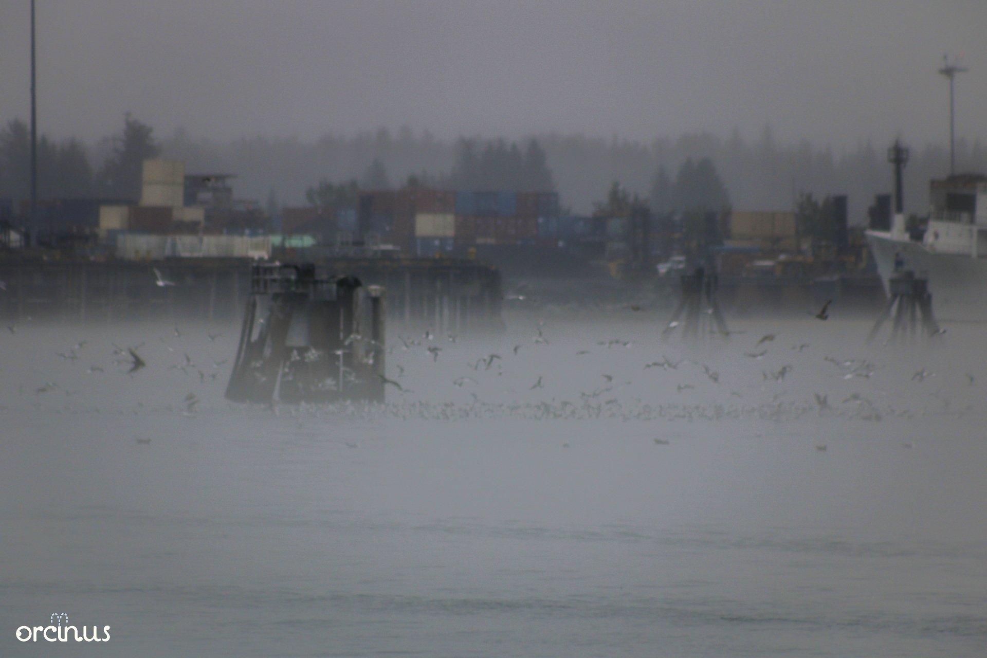  8.17.25 
 
resurrection bay
 
seward, ak