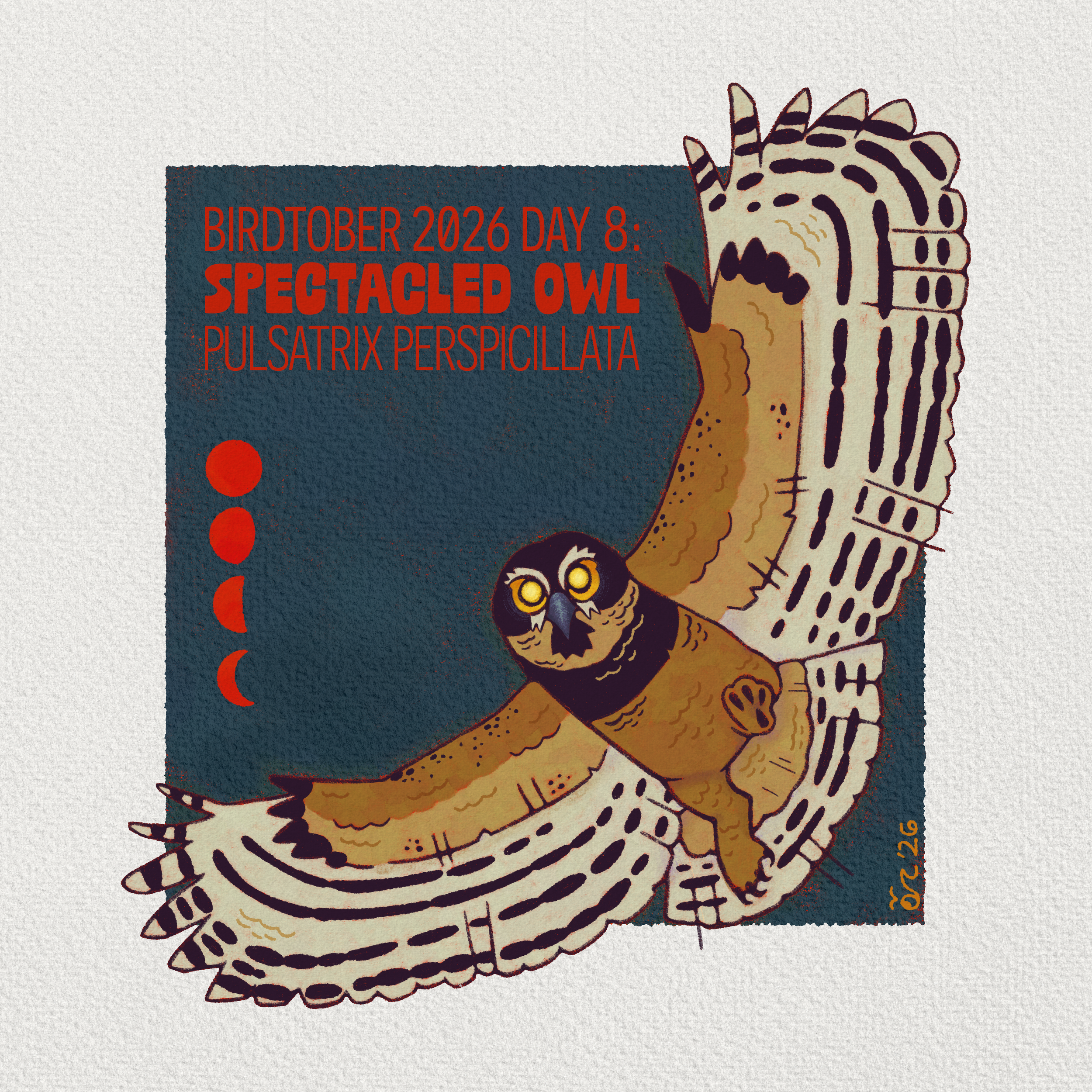 Orcinus_BirdTober_Day8.png