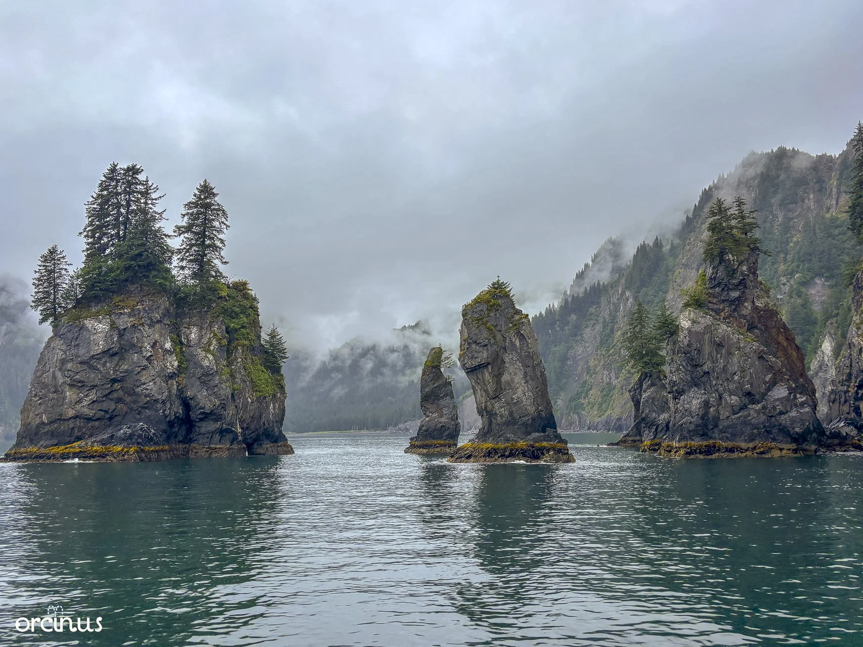  8.17.25 
 
spire cove
 
kenai fjords ntl. park, ak