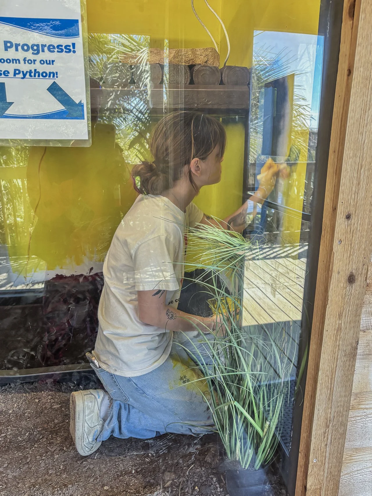 burmese python habitat