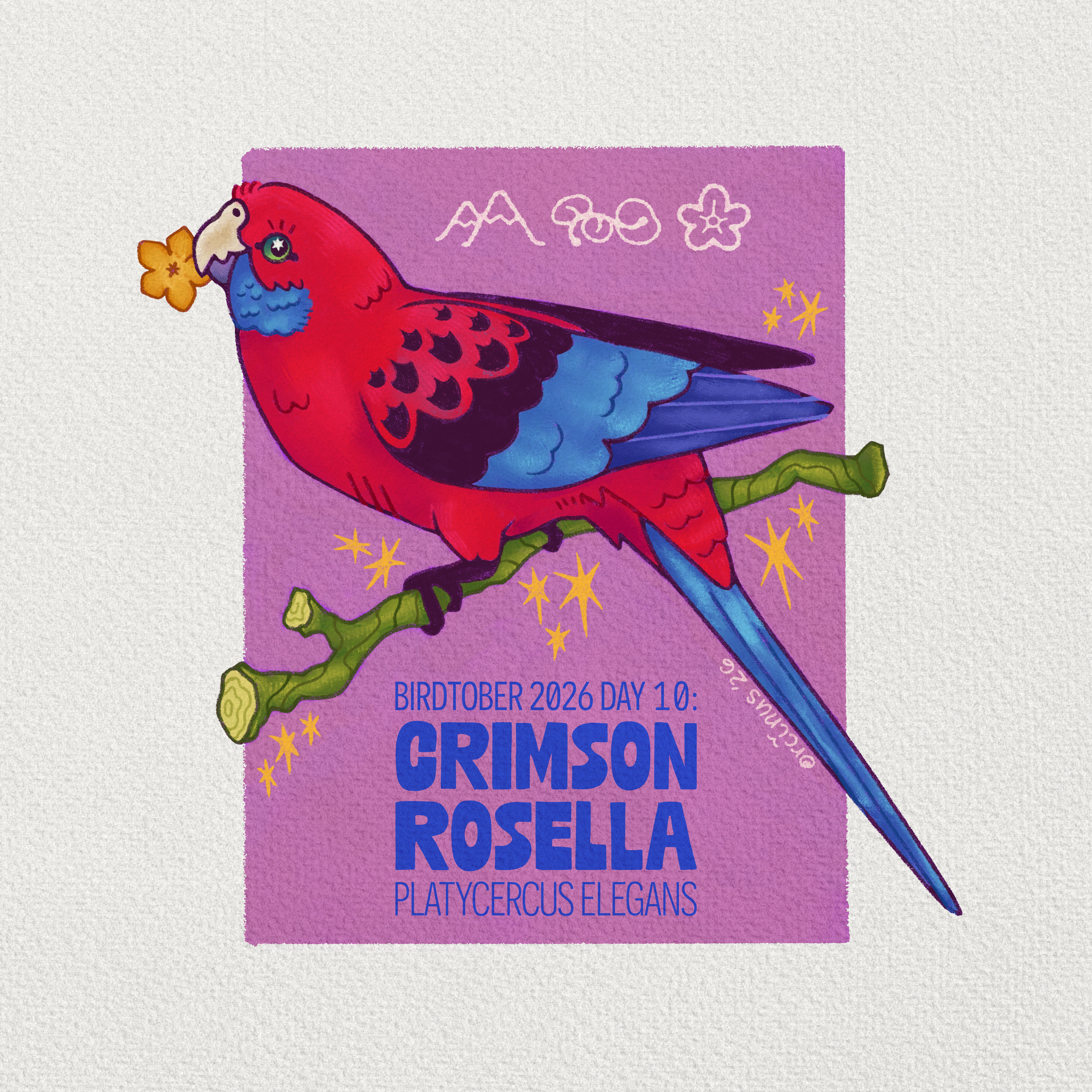 Orcinus_BirdTober_Day10.png
