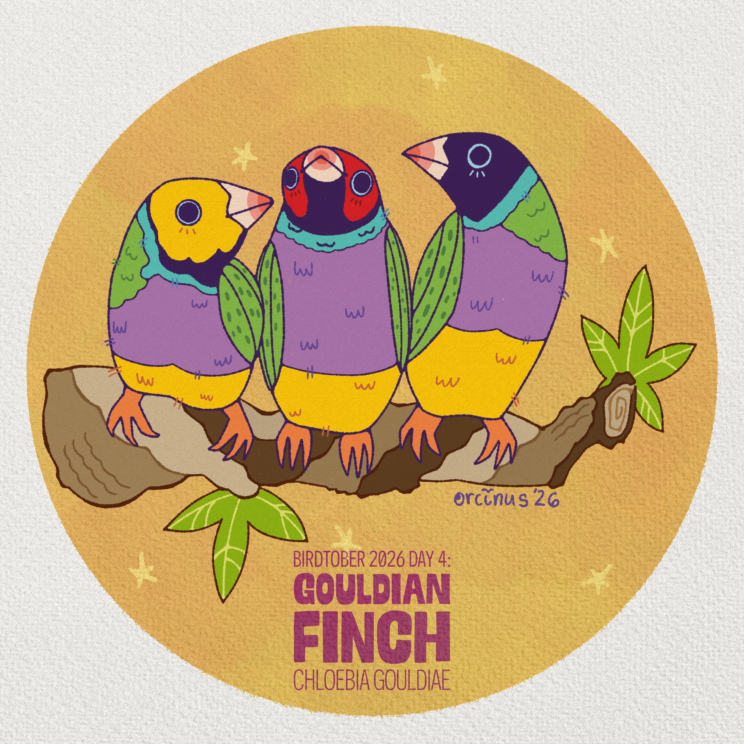 Orcinus_BirdTober_Day4.png
