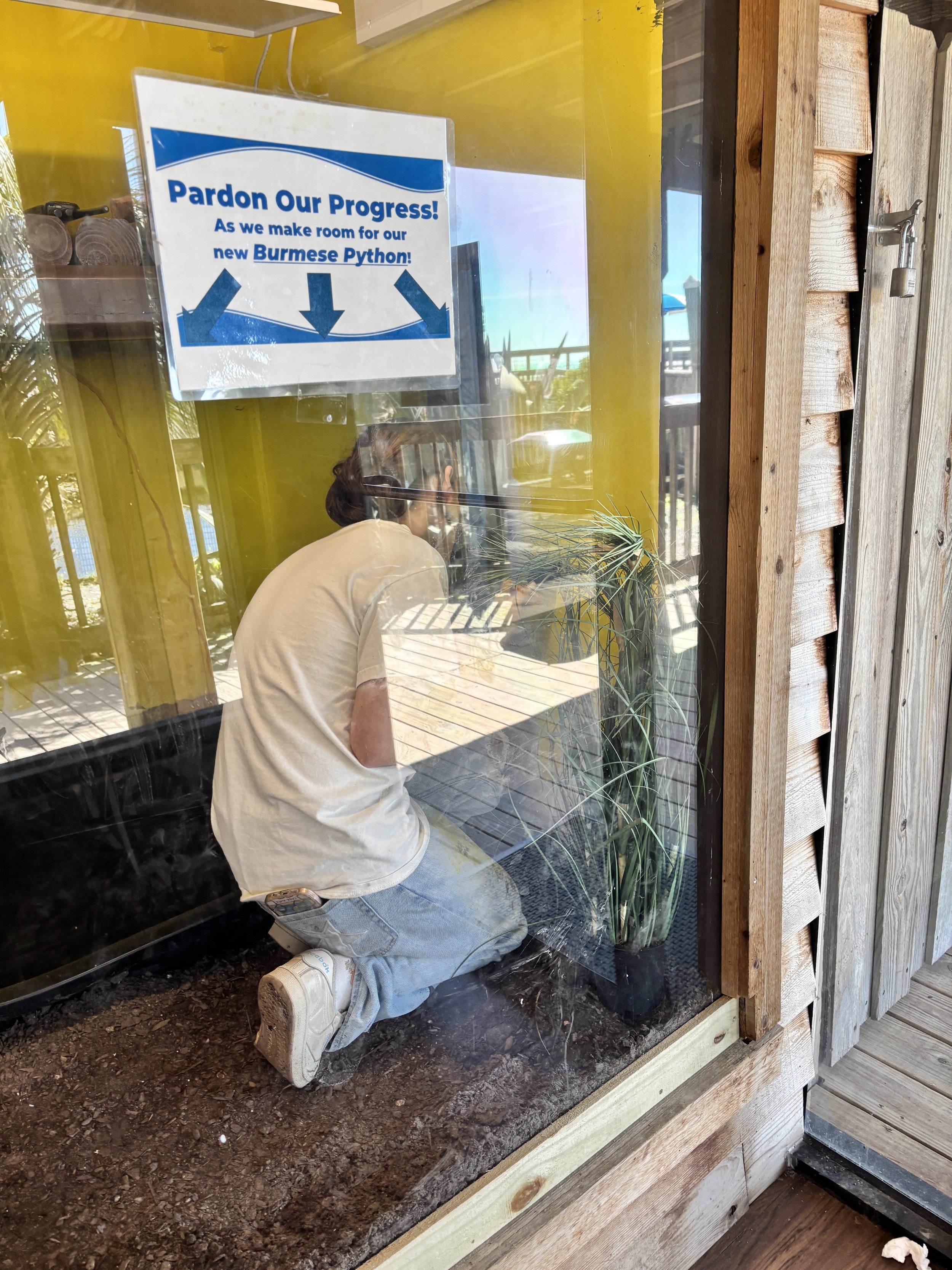 Photo Mar 18 2025, 2 47 14 PM.jpg