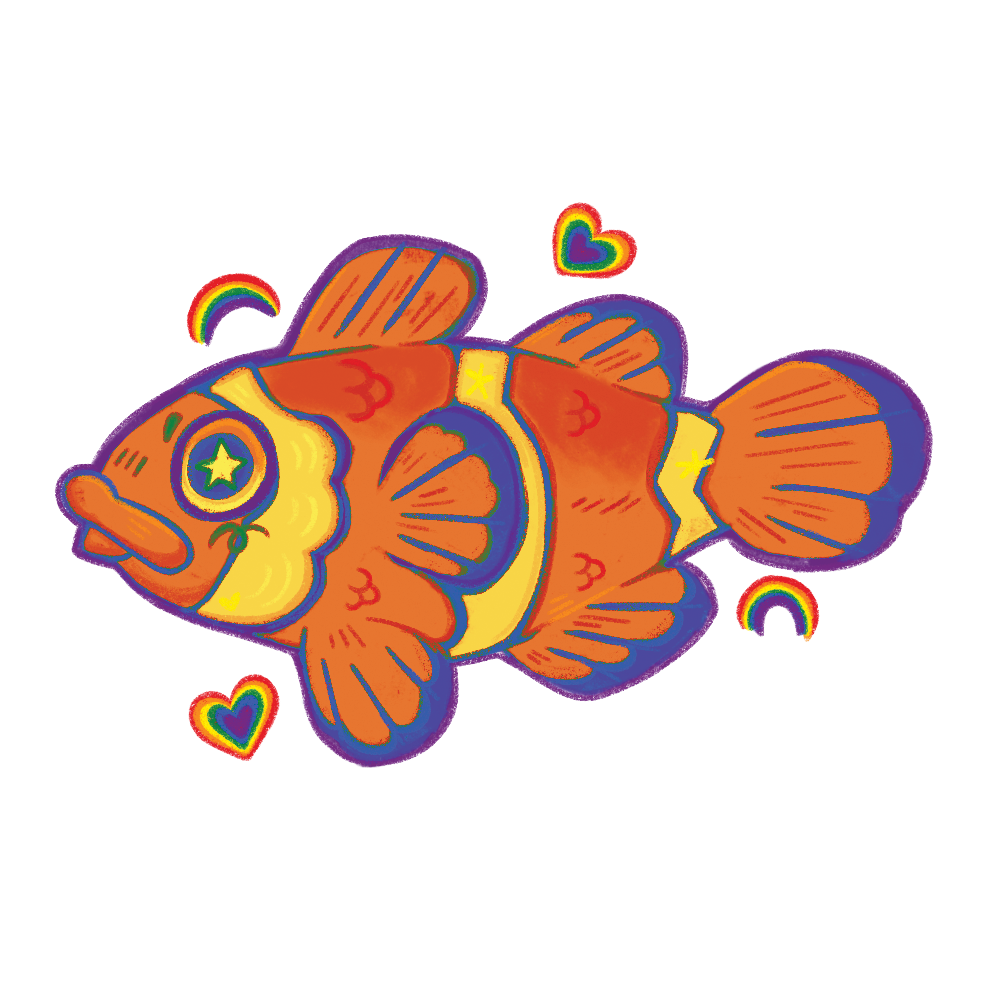 rainbow_flag.png