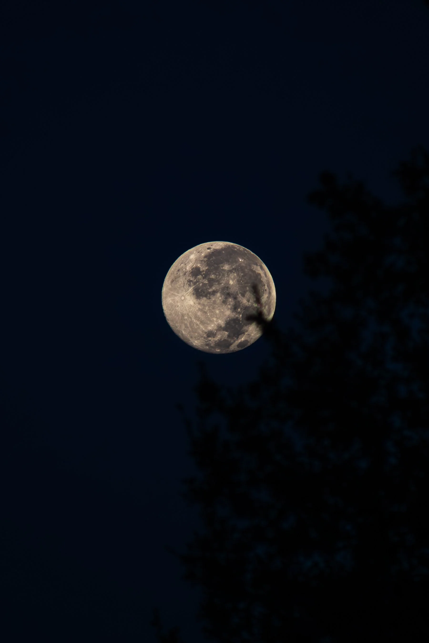 9.27.26
 
moon