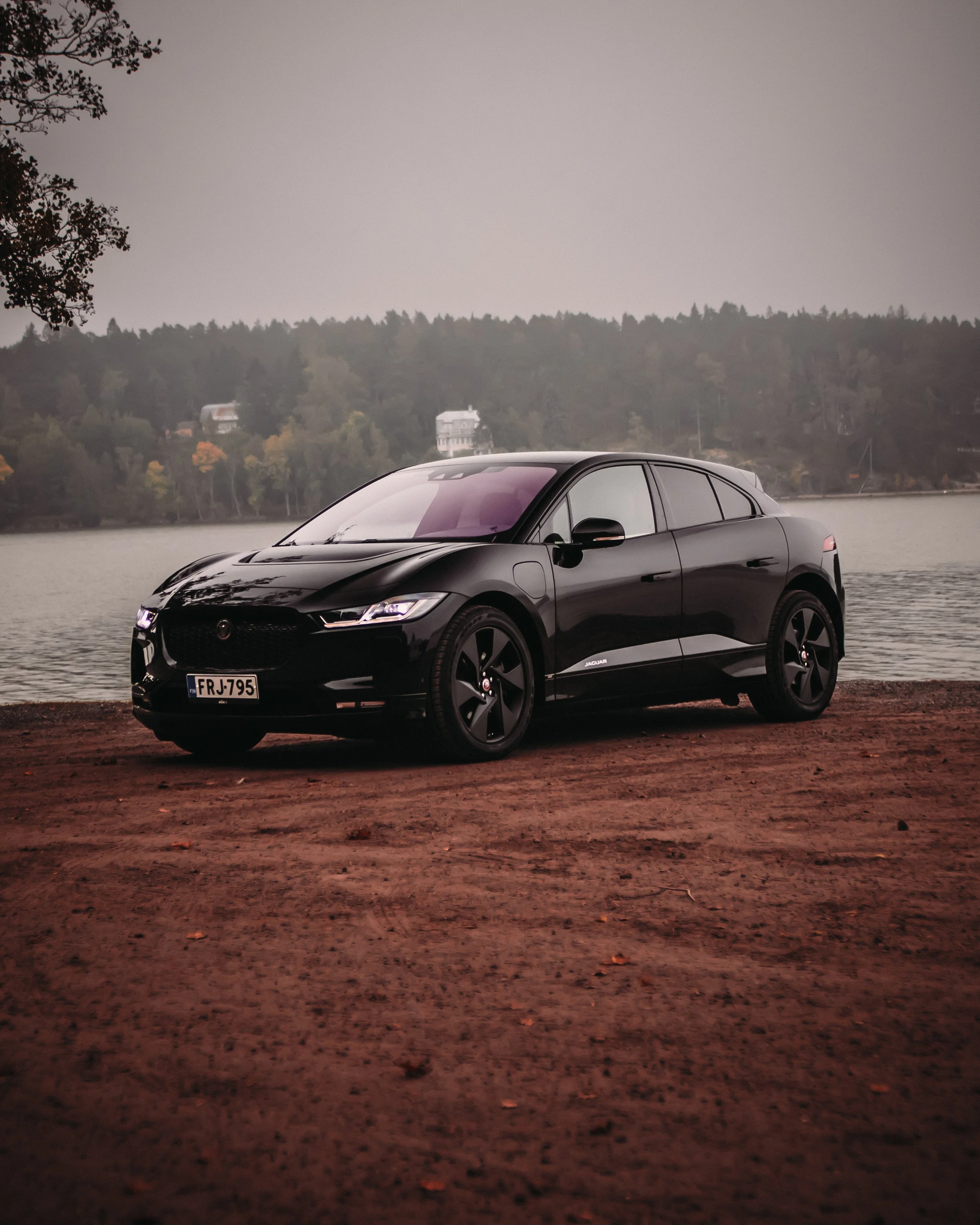 Jaguar-8.jpg