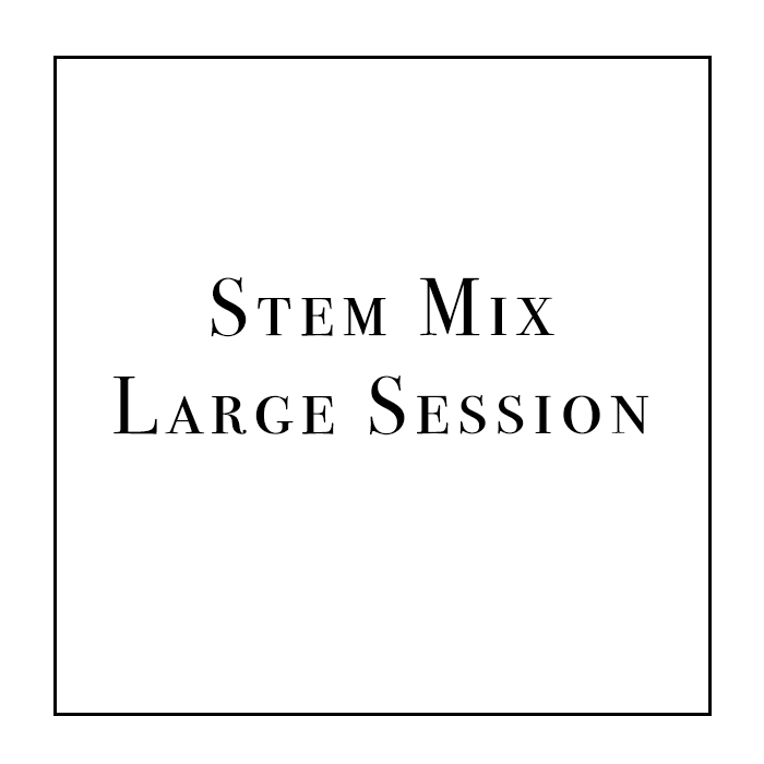 Stem Mix / Large Session