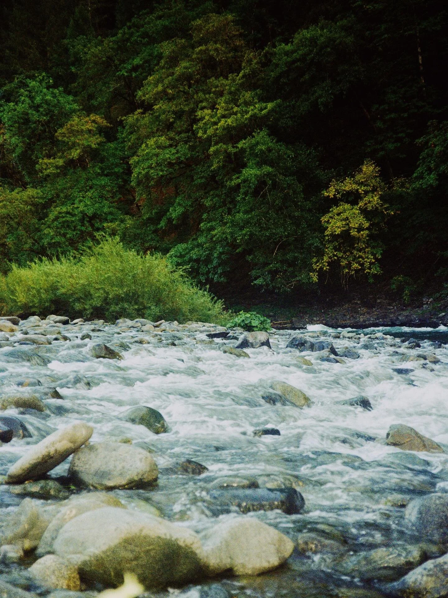 sweet sweet rolls of northern california summer. still figuring out what kind of light this camera likes and enjoying the process.

scenes from trinity river, echo lake, lake aloha, sea ranch, and the russian river. 

overall some time well spent wit