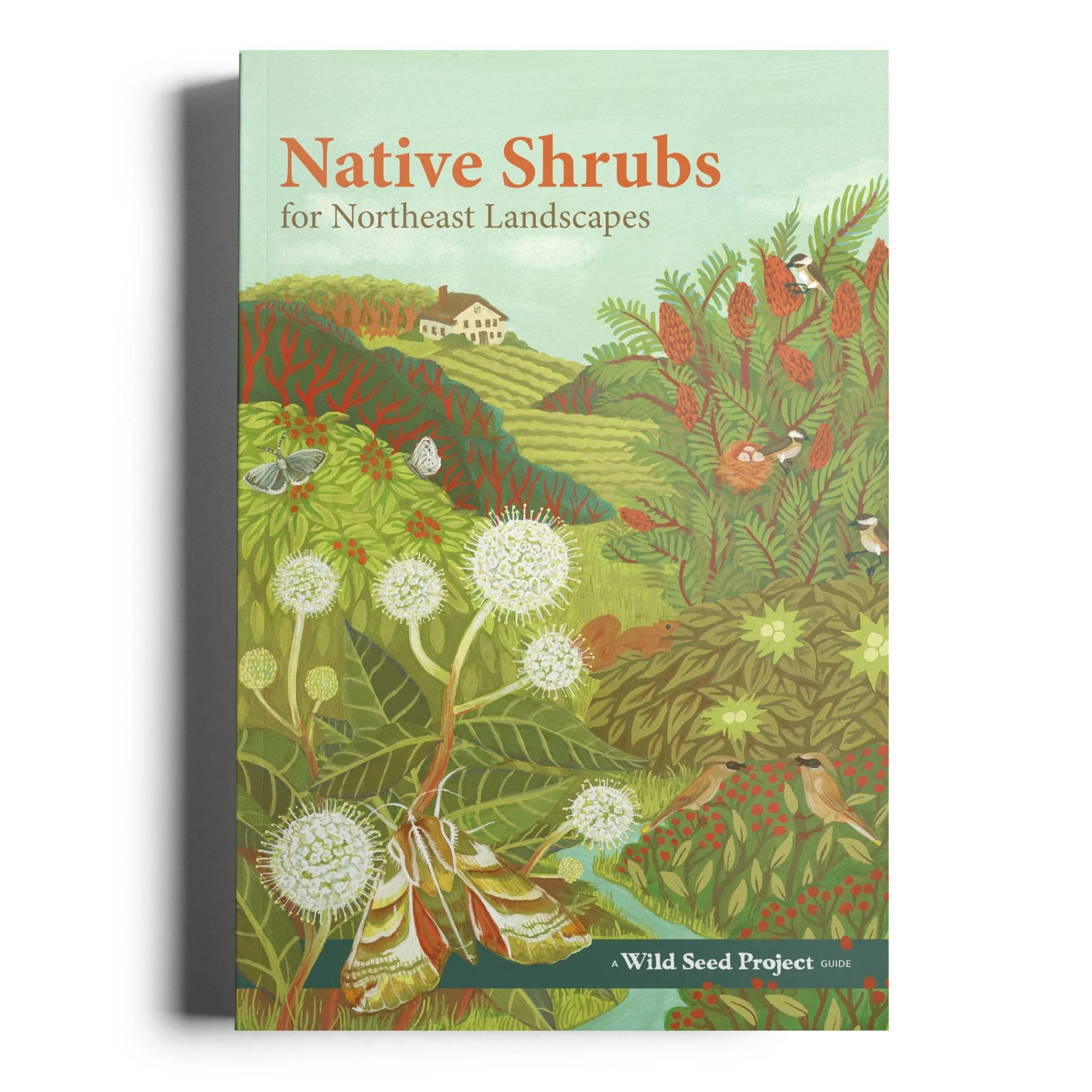 Cover of a guide titled 'Native Shrubs for Northeast Landscapes' with artistic illustrations of native plants, birds, and butterflies.