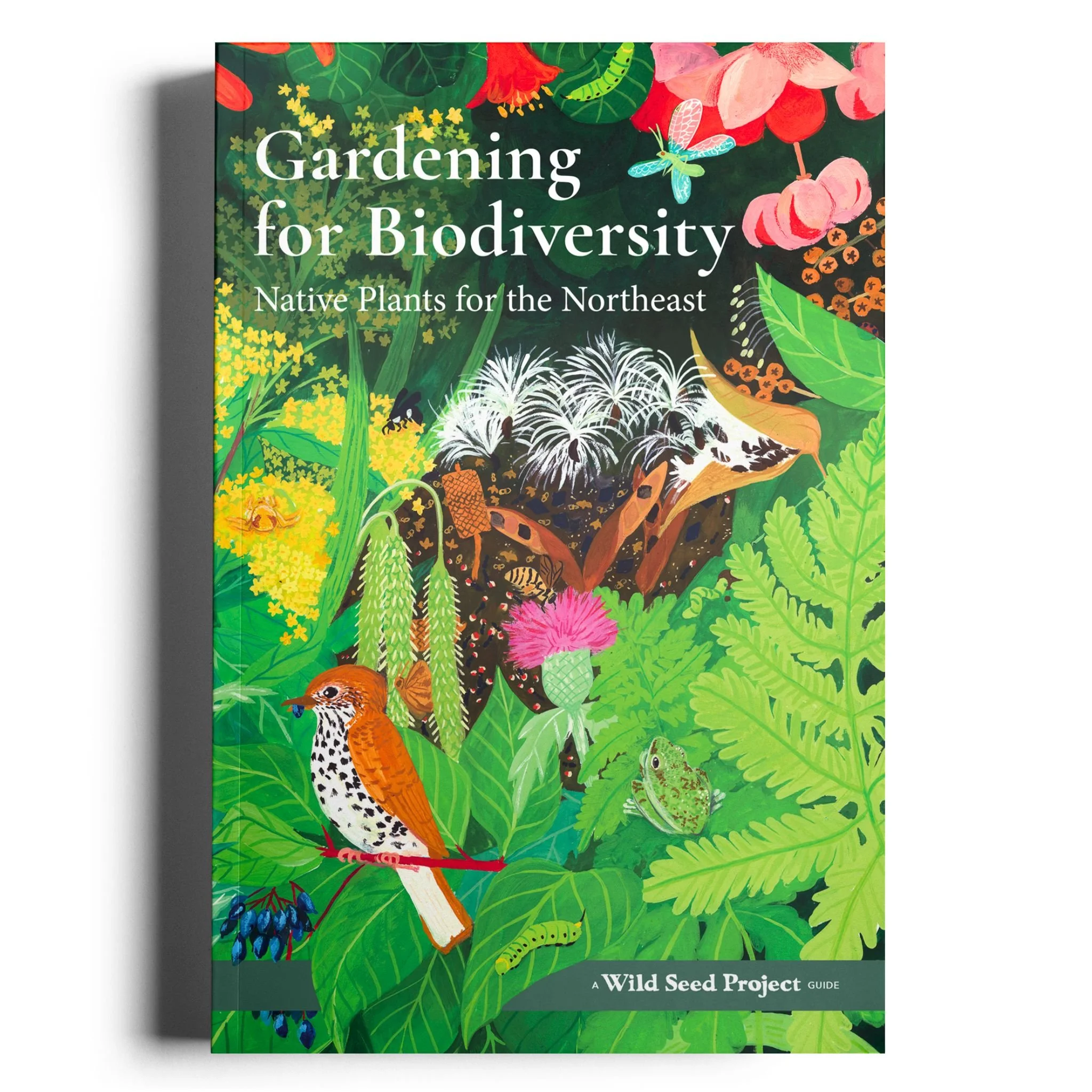 Cover of a gardening guide titled 'Gardening for Biodiversity: Native Plants for the Northeast' featuring colorful illustrations of native plants, insects, and wildlife.