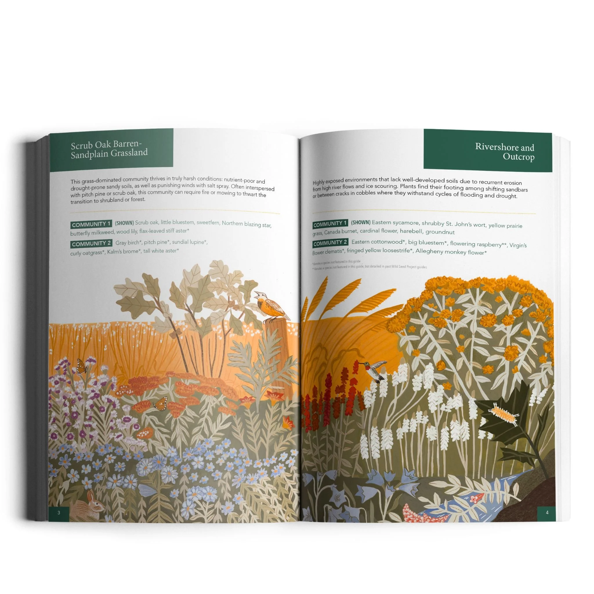 Open book displaying colorful illustrations of various native plants, flowers, and small animals in a biodiverse landscape.