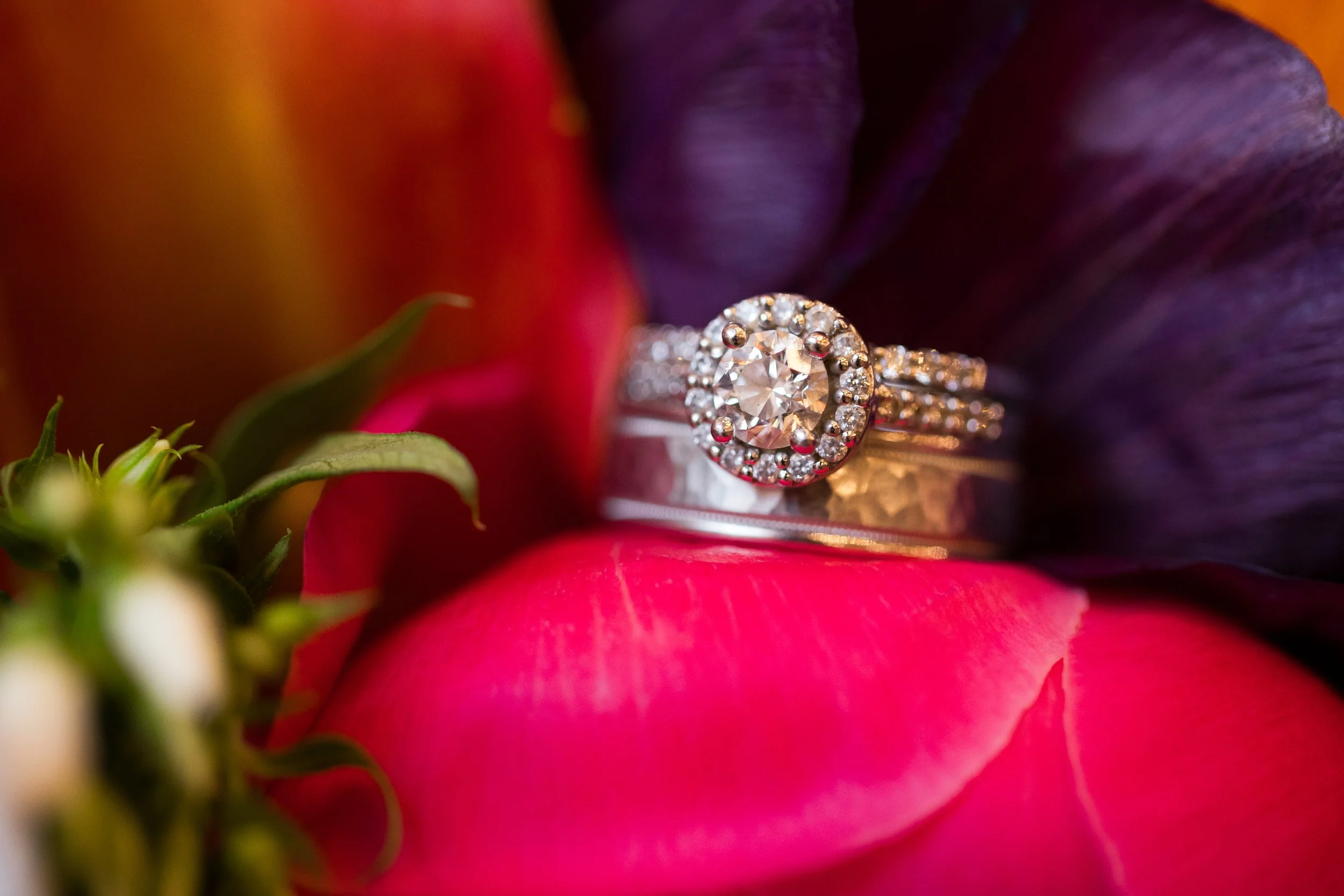 Owls-Nest-Thornton-NH-wedding-Brown-111123-HRZ-293.jpg
