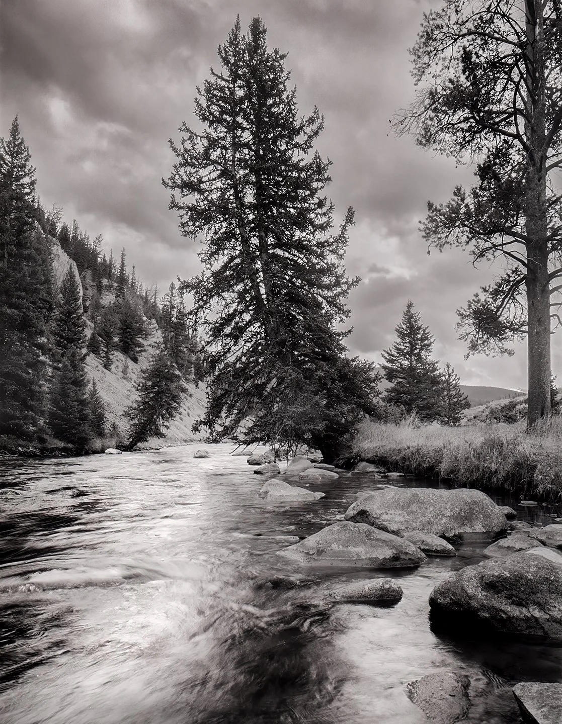 Gallatin River 10-20_4.jpg