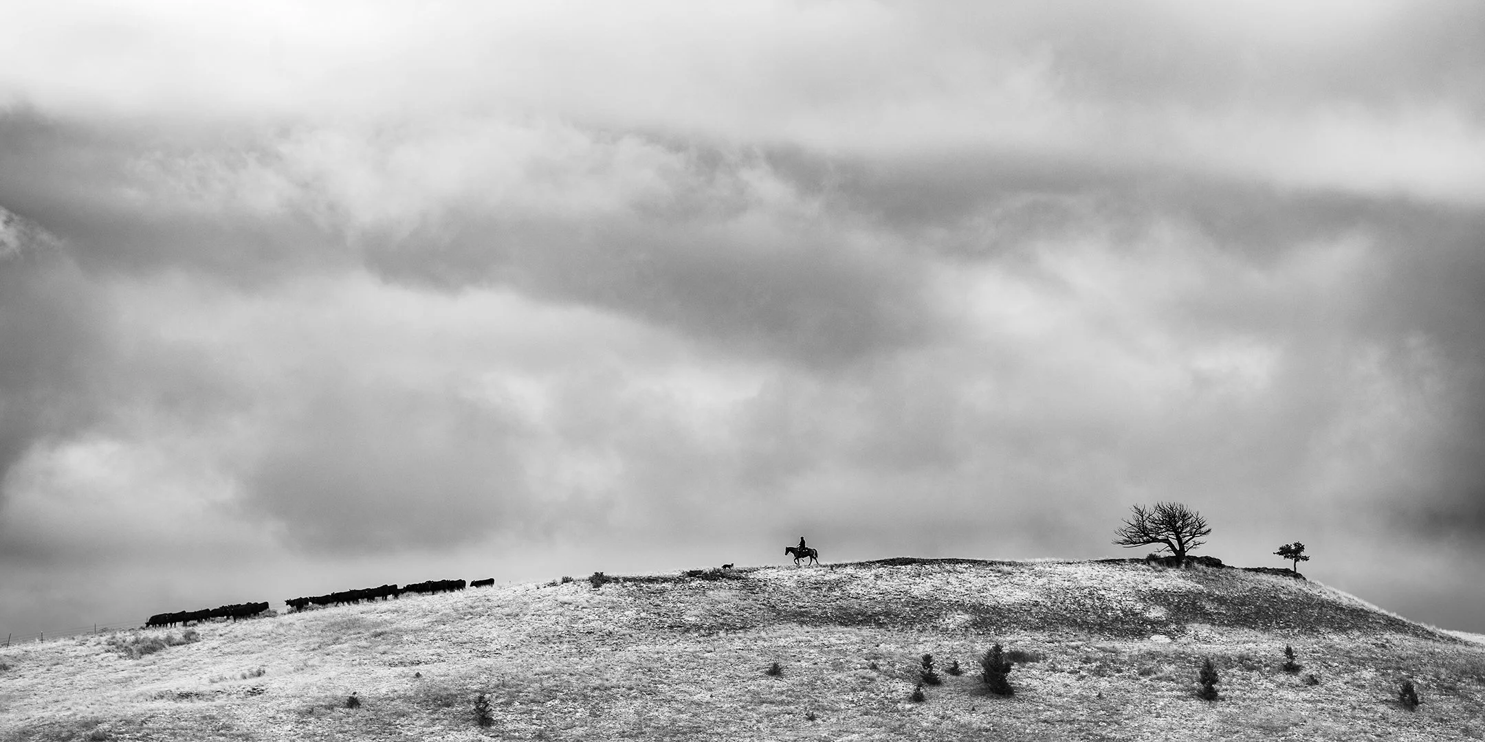MT Ranch 100217-1032-Edit-Edit.jpg