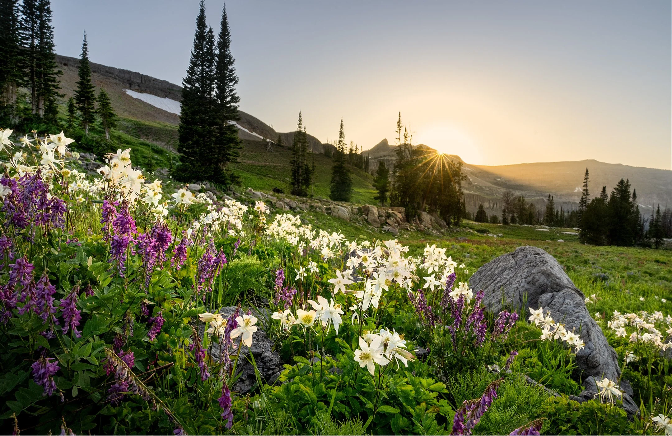 Teton-Crest-Trail-2025-1079_V2_20x30-white-border.jpg