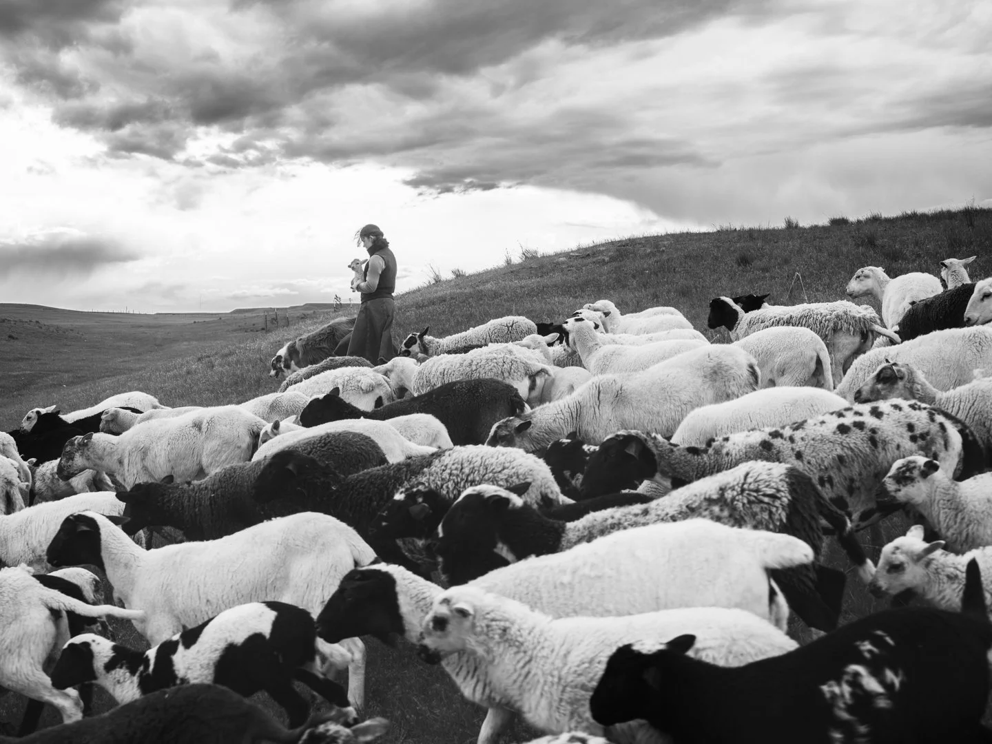 On the Wide Montana Prairie: Work and Family