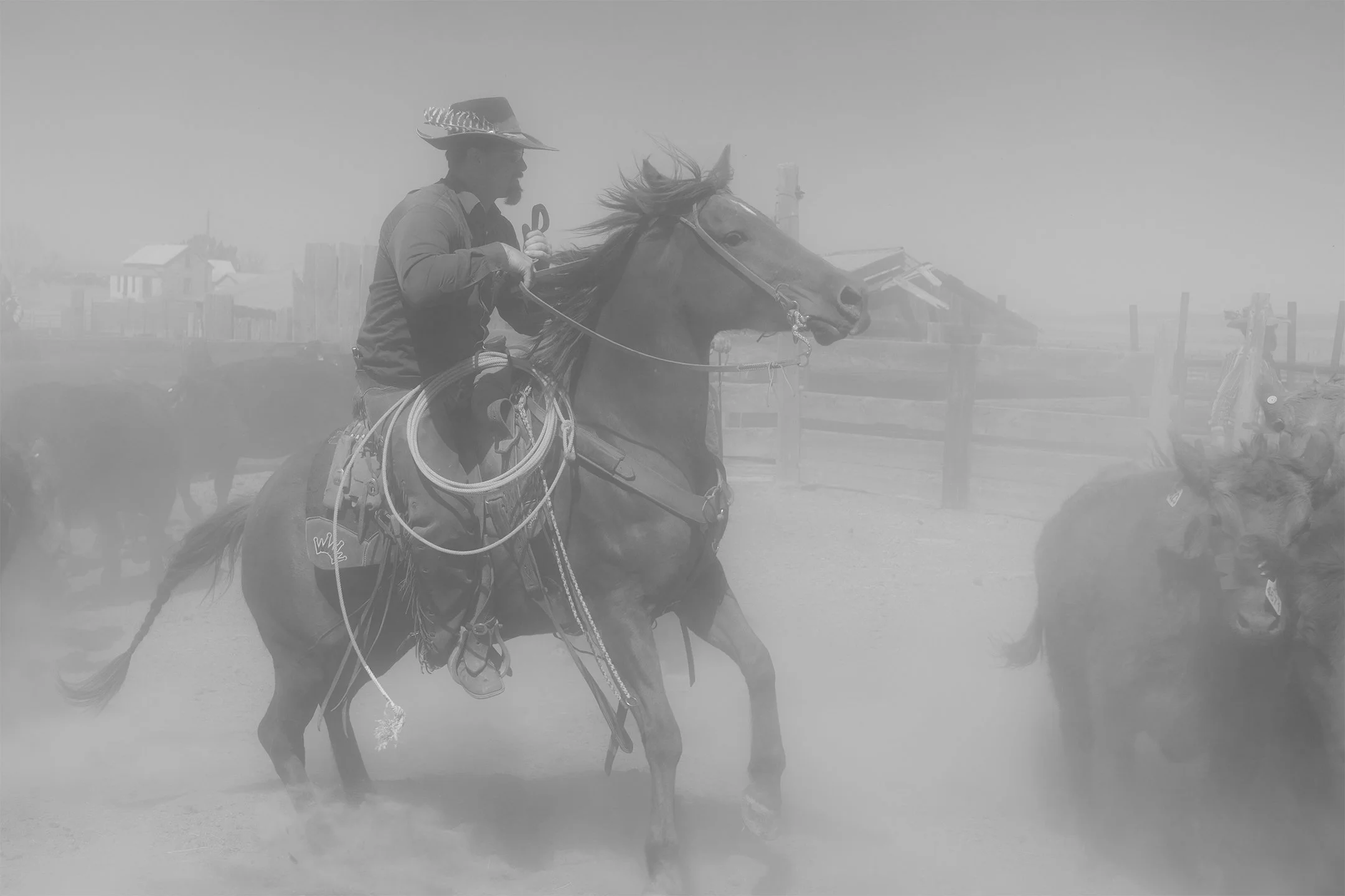 Nebraska 041926-1225-Edit.jpg