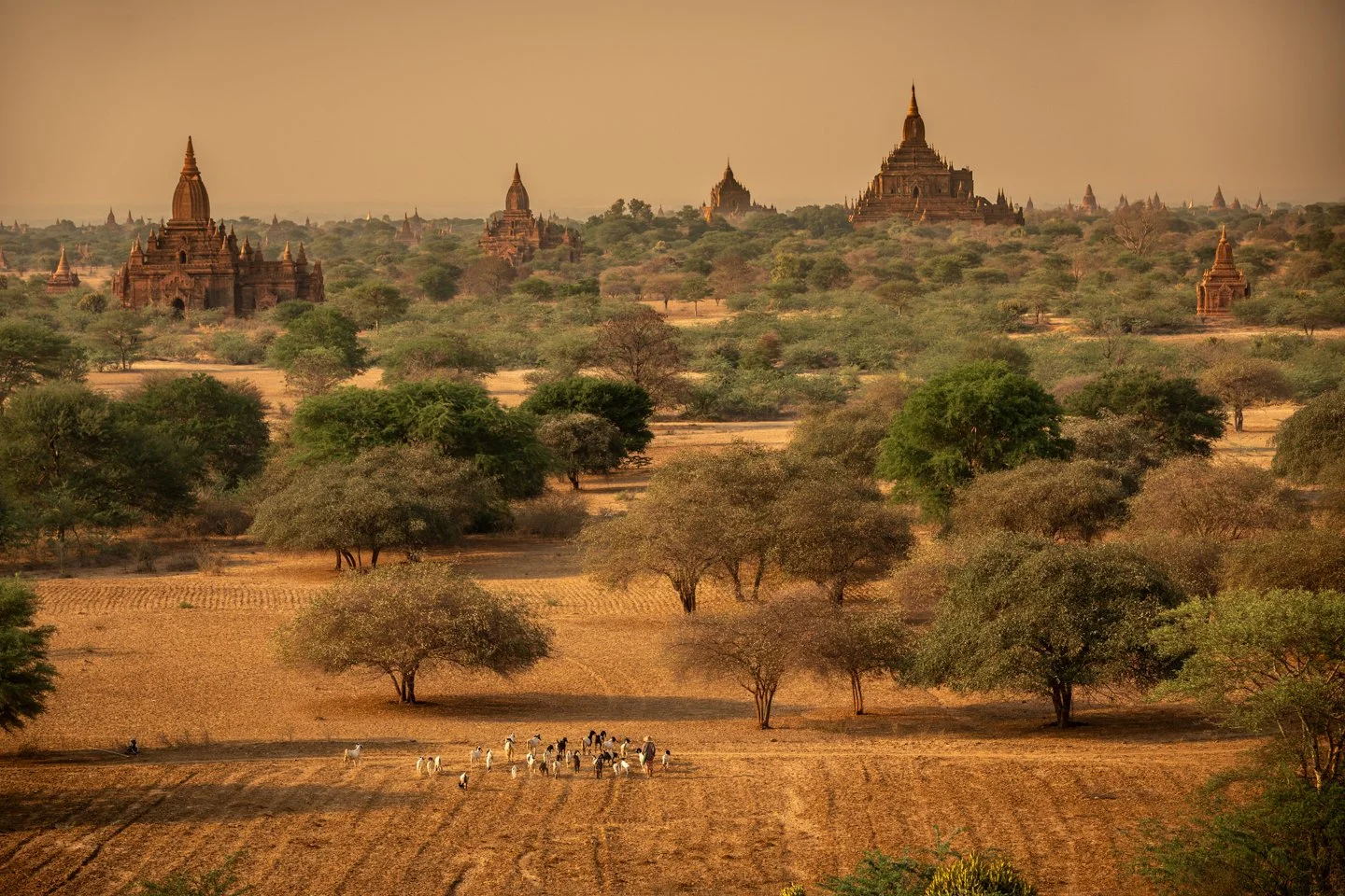Bagan Myanmar 031913_-76.jpg