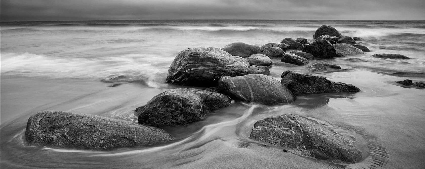 Plum Island 032621-1085-ASF-Banner.jpg