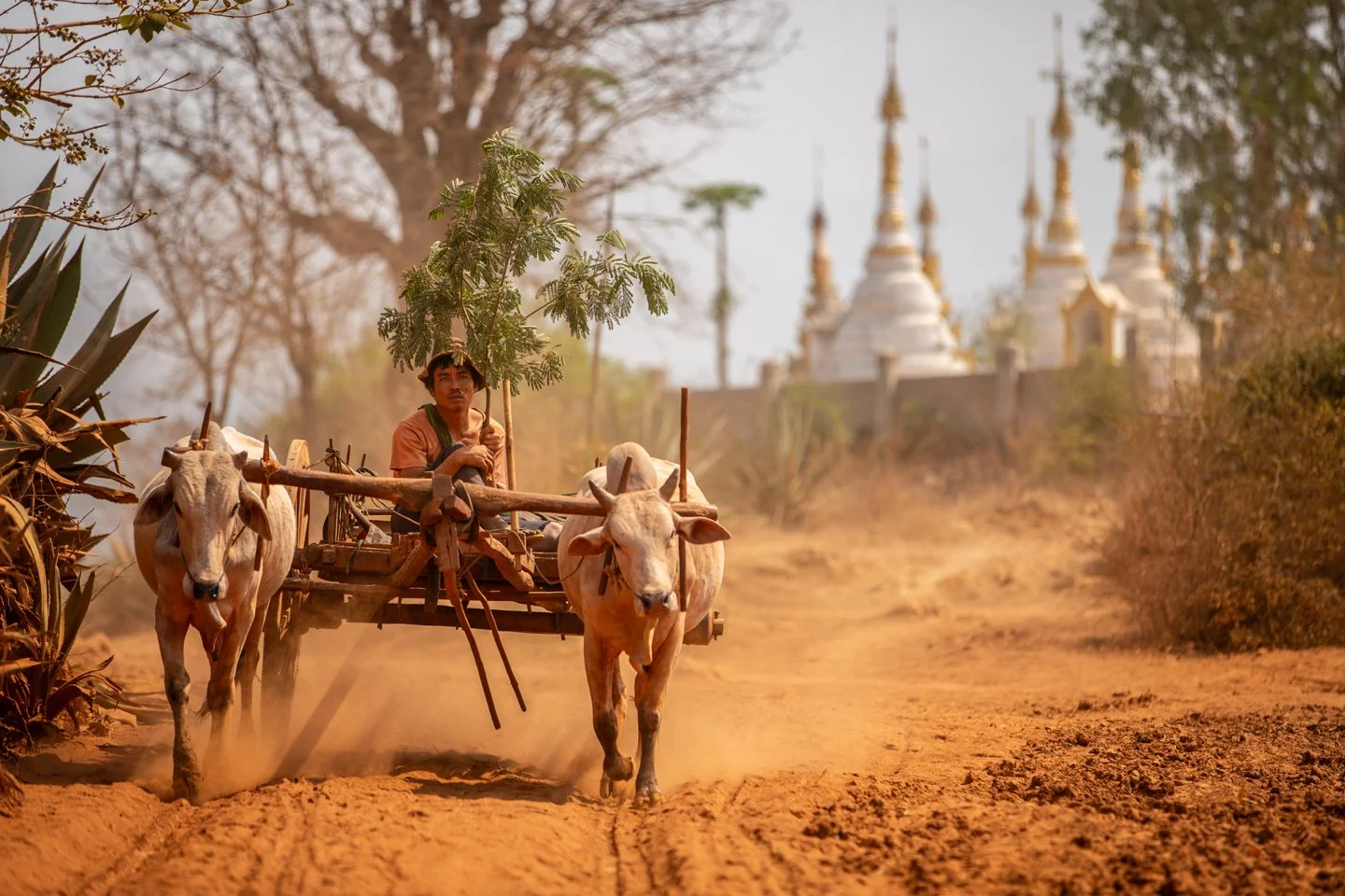 Inle 032713-240.jpg