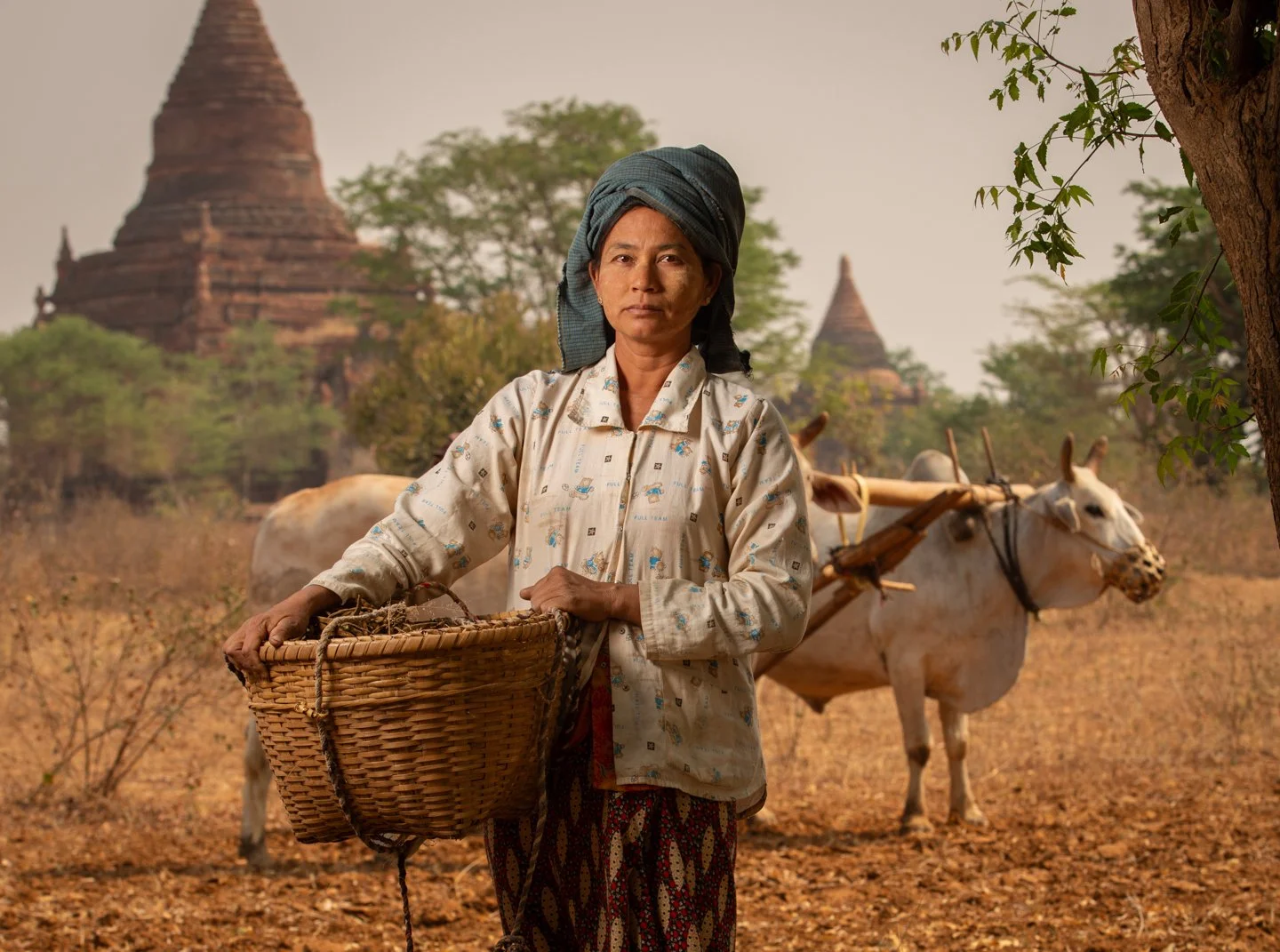 Bagan 032013-65.jpg