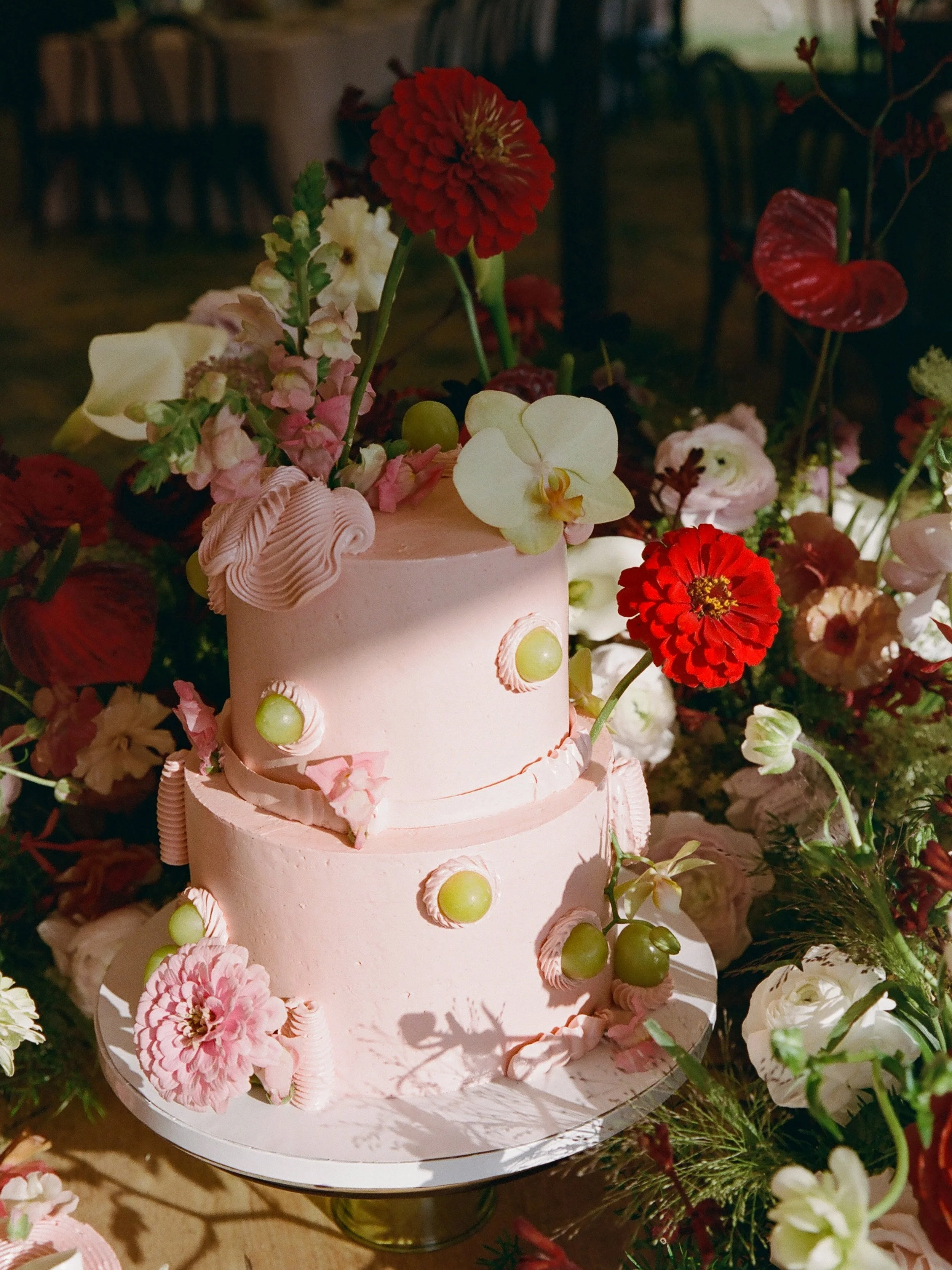 571-EmilyandGeorgeMarried.jpg