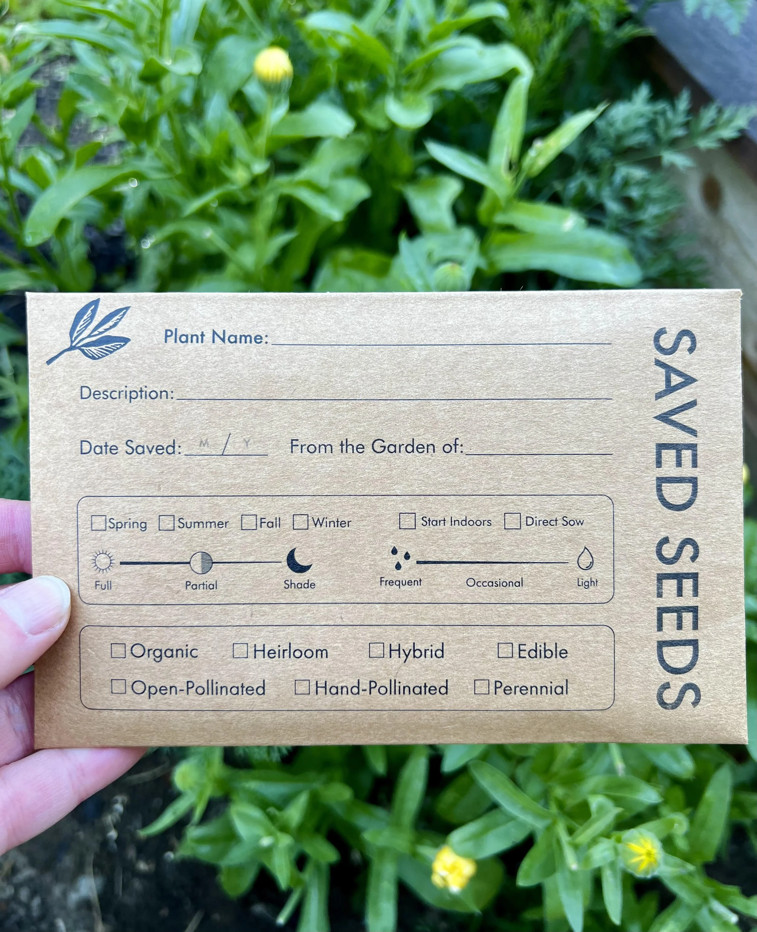 Seed Saving Envelopes