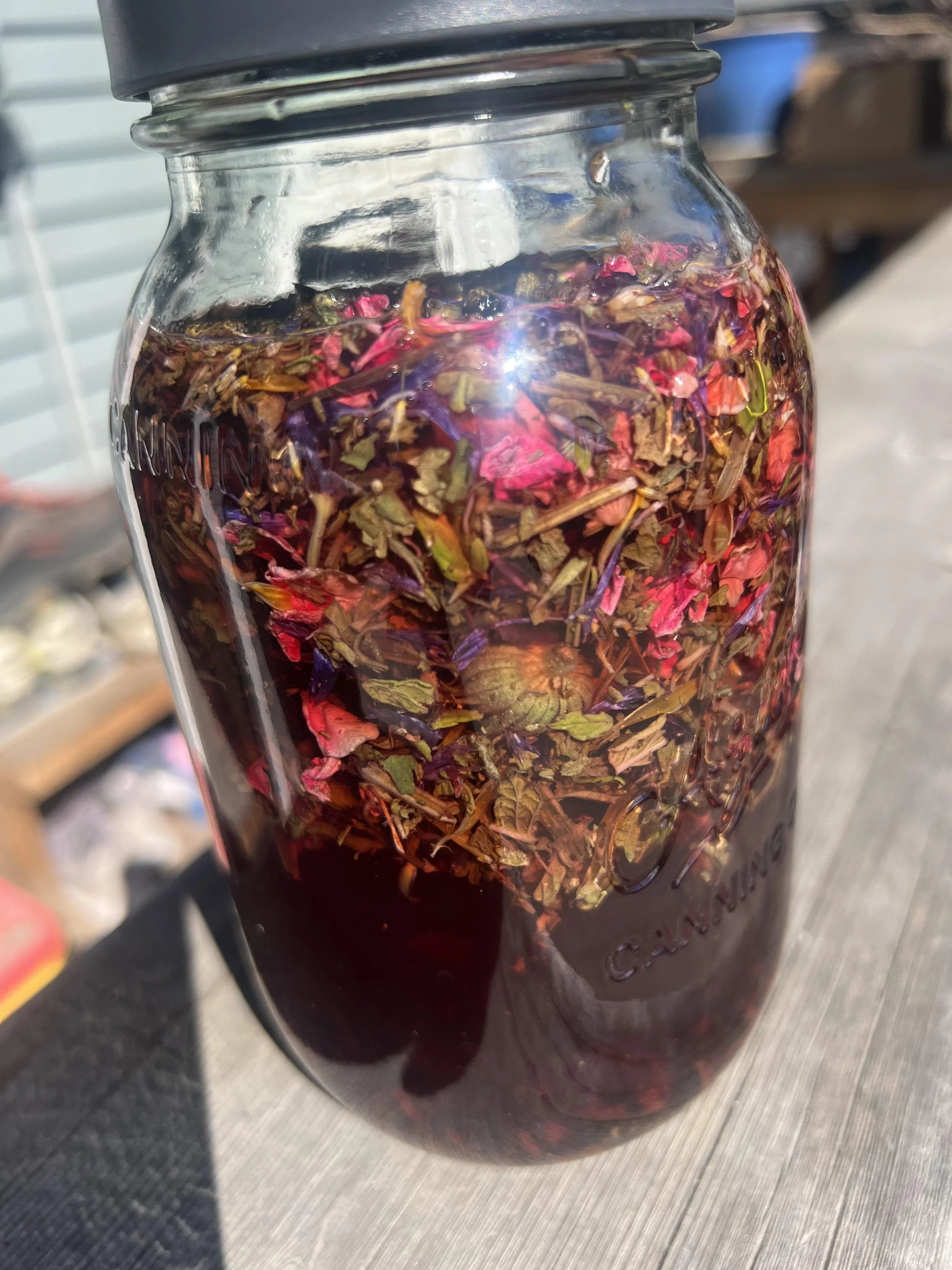 hibiscus 2026 sun tea.jpg