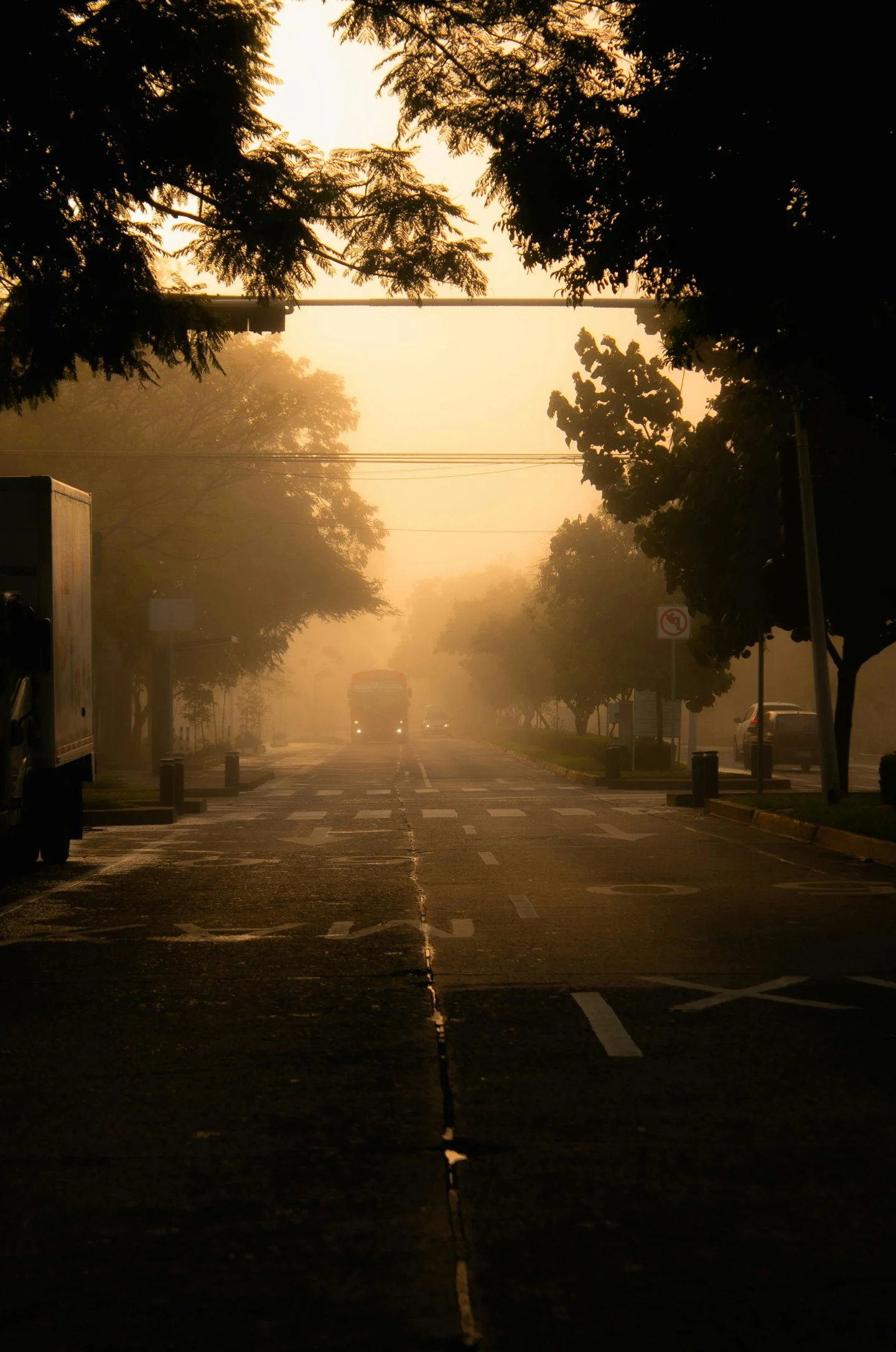 USDOT Number ??? DOT Registrations