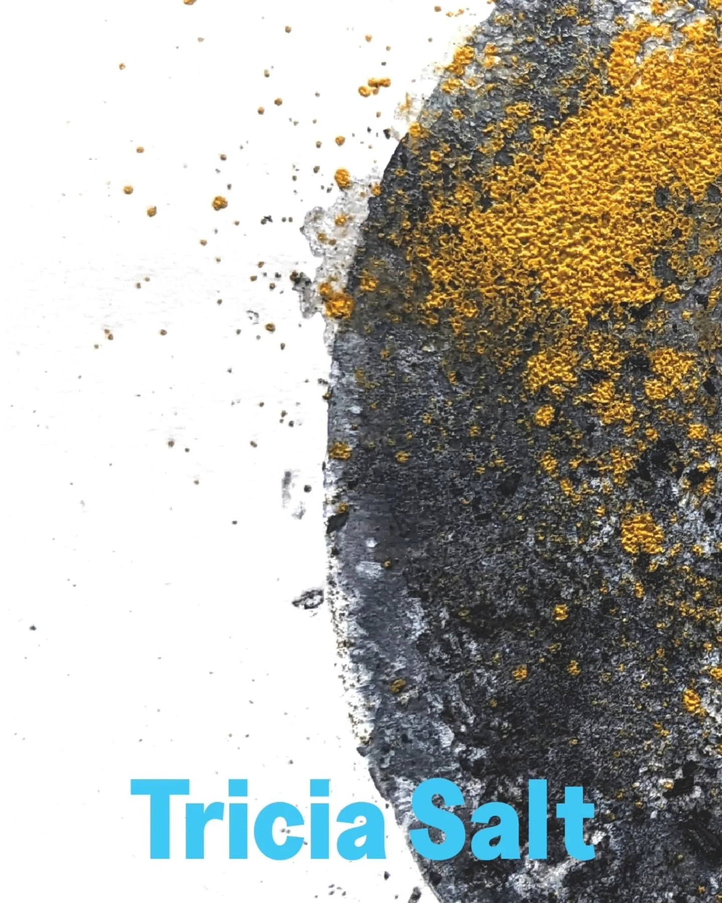 Tricia Salt @tricia_salt is an interdisciplinary artist whose work explores the coast through its own materials&mdash;sand, salt, pigment, and process.

After completing her MA in Printmaking in 2023, Tricia developed a body of work using direct inte
