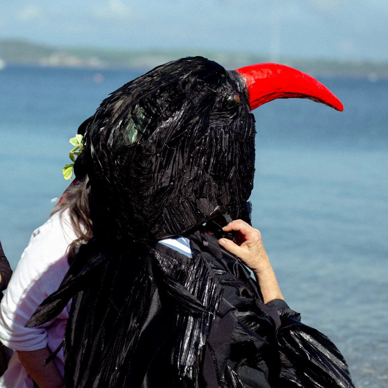Beltane Blessings from the Rame Peninsula 🌿

@blackprincefestival @visitrame