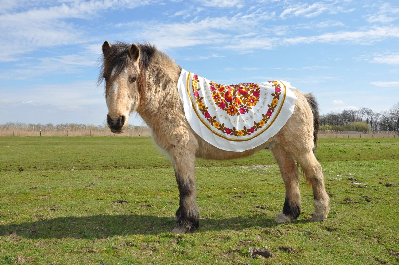 A curly-haired pinto horse wearing a white embroidered cloth with red, yellow, and pink floral patterns standing on a grassy field under a partly cloudy sky.