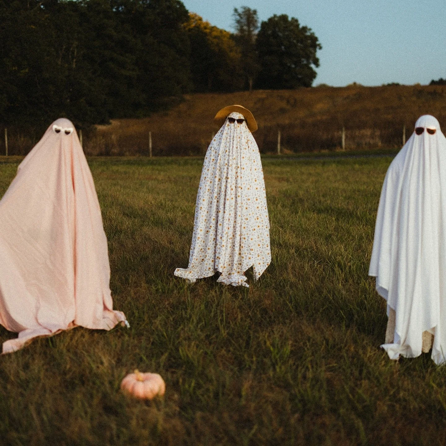Even ghosties need family photos every once in a while 👻👻👻👻
#ghost #ghosties #ghostphotoshoot #october #spookyshoot
