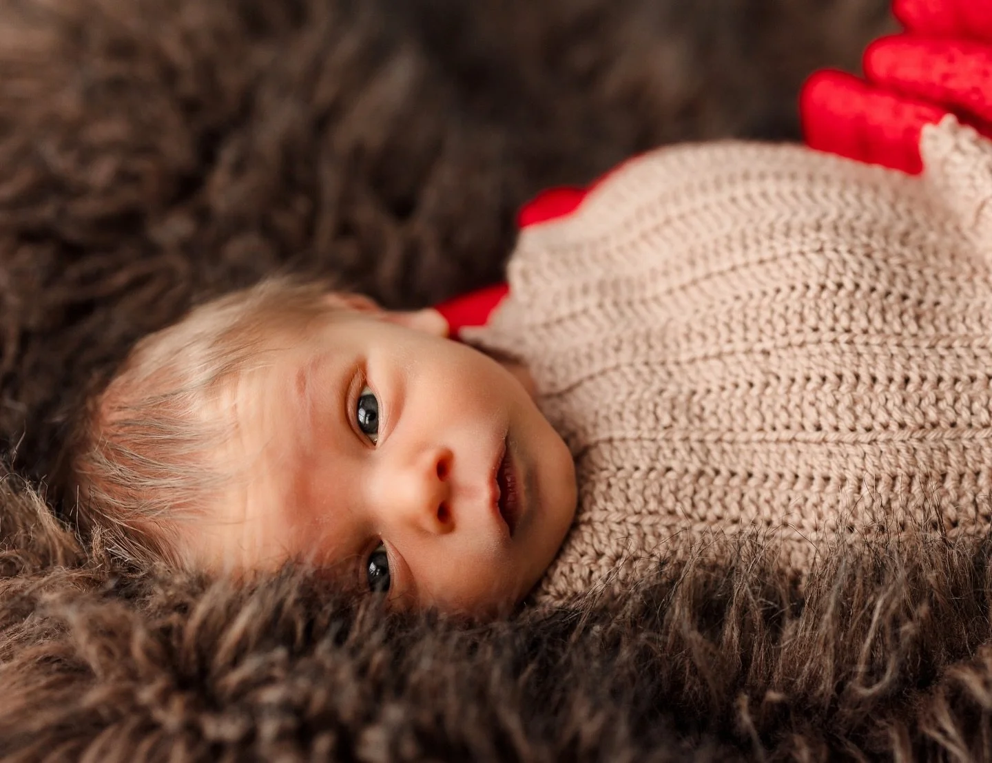 I honestly don&rsquo;t photograph newborns a whole lot anymore - But This past year has been a year of memories for the amazing couple. It&rsquo;s been awesome (and an hour) to document each chapter for them. It started with their wedding and creatin