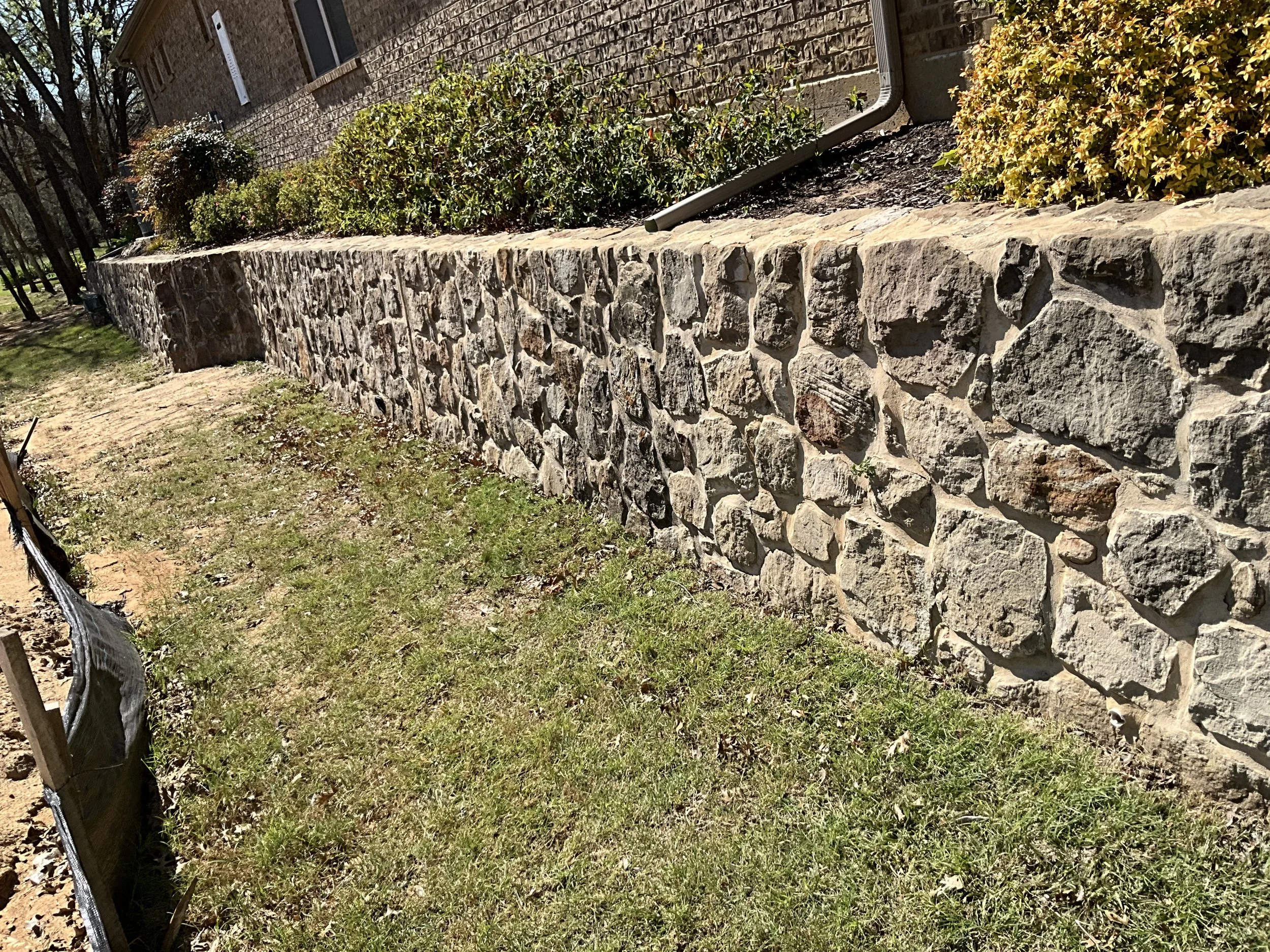 SS (flowerbed).jpg