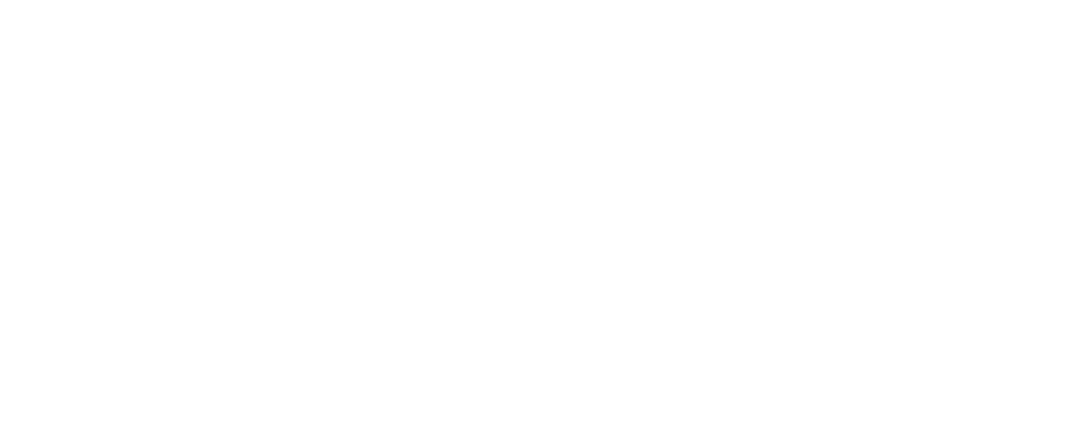 World Visualization Festival
