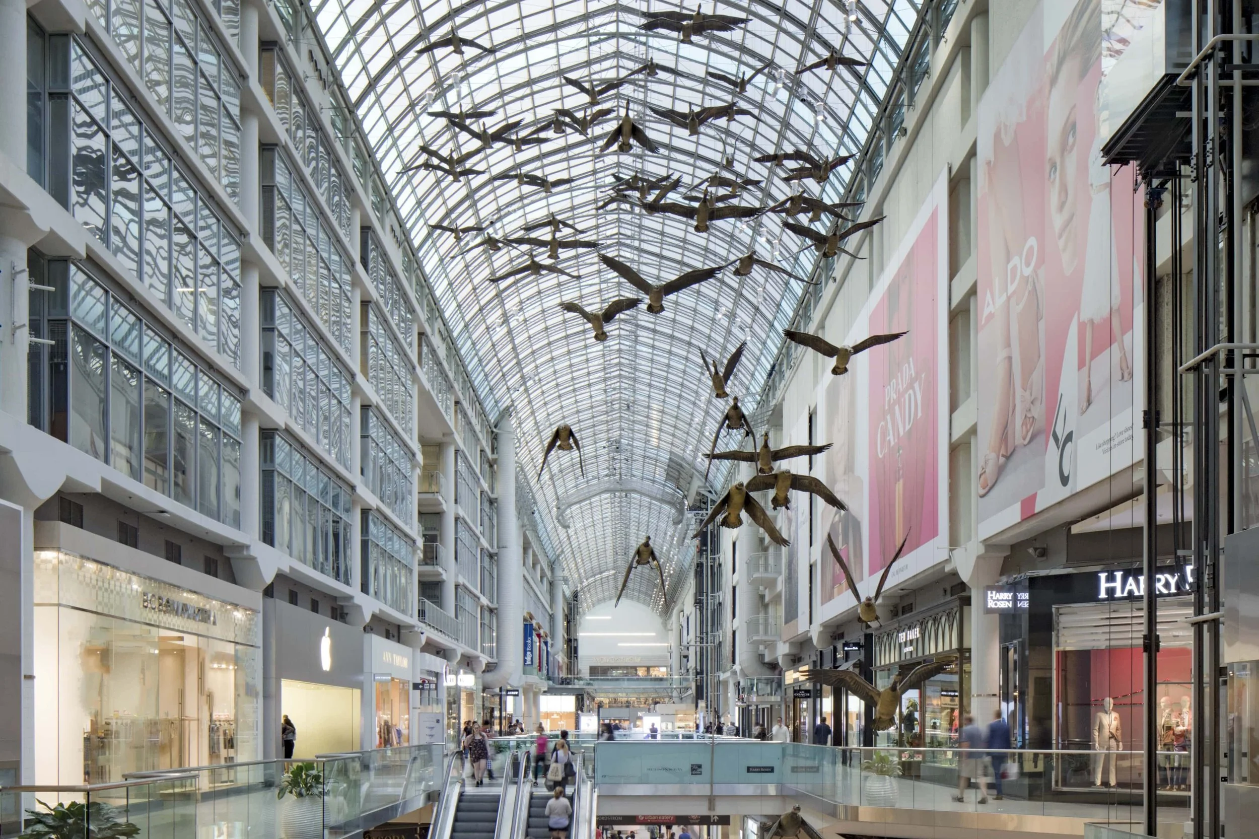 Eaton Centre.jpeg