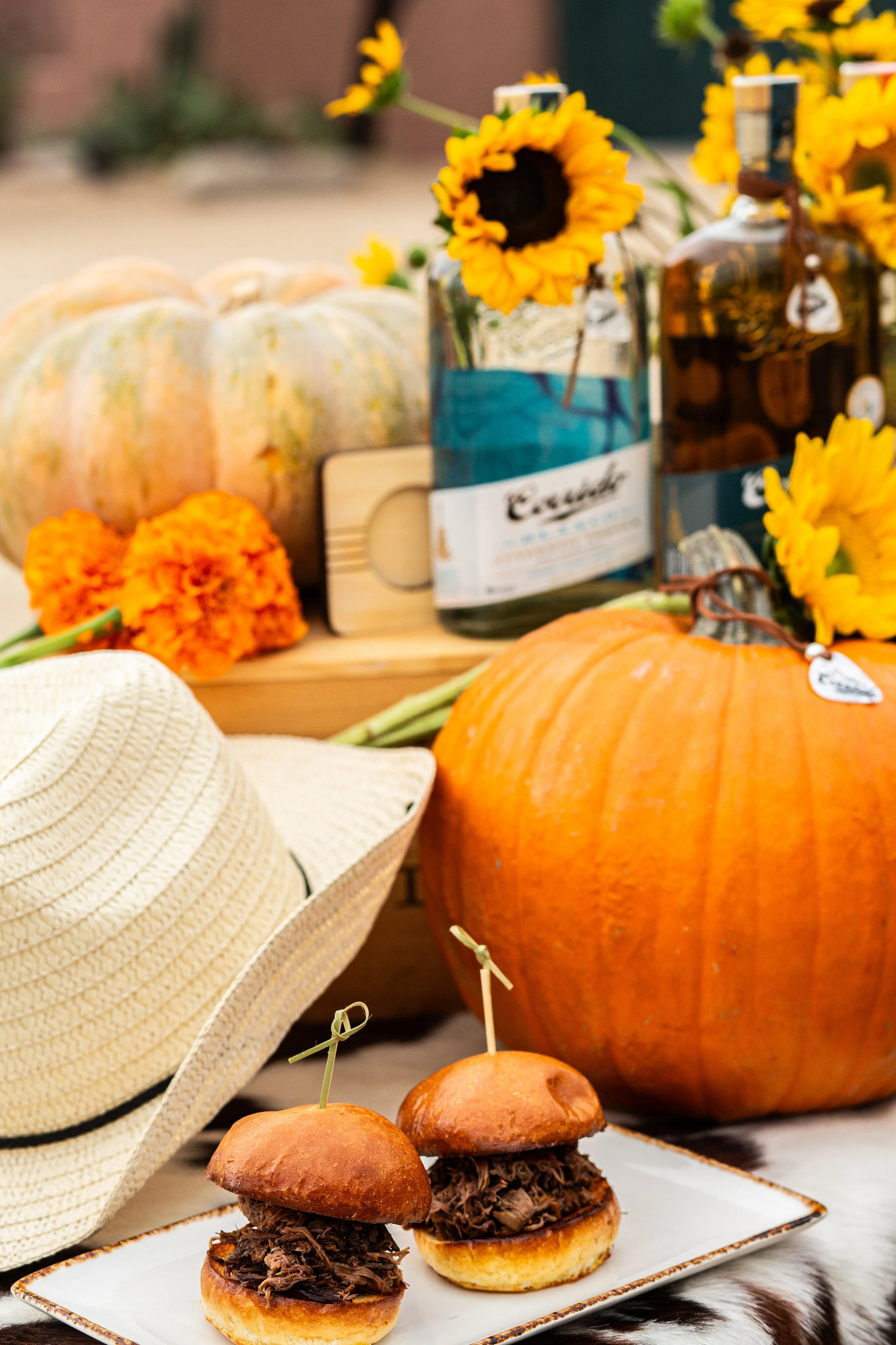 PHCN Fall Fest 2025-013.jpg