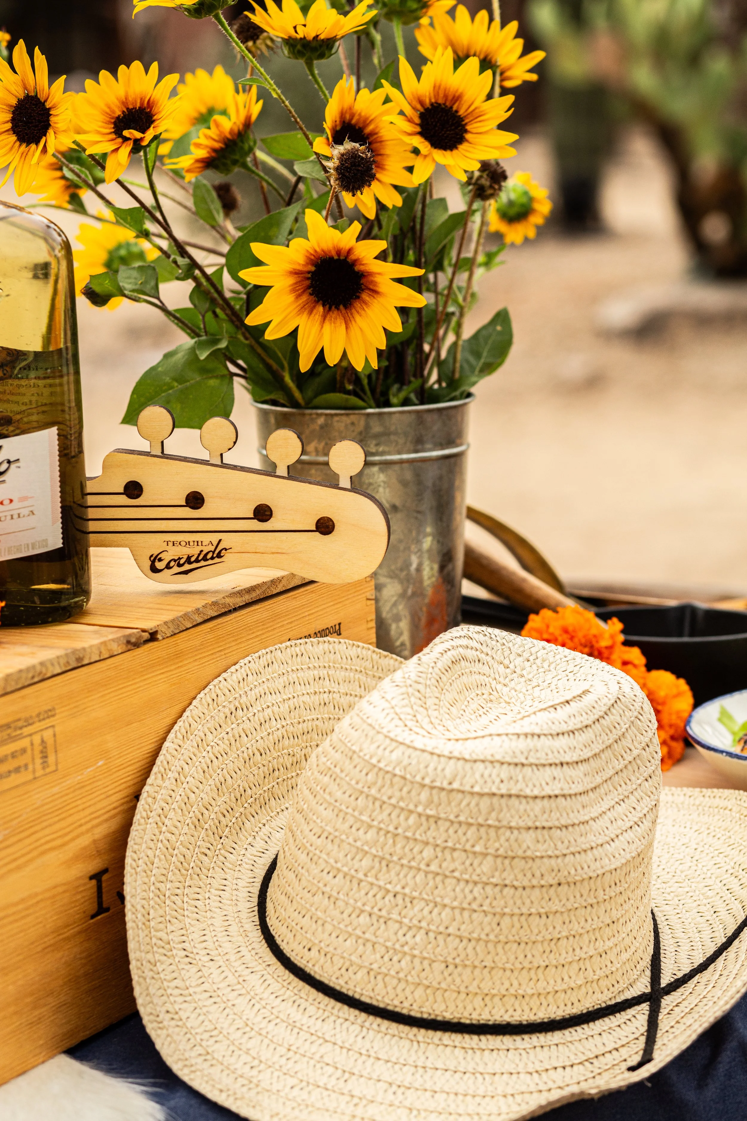 PHCN Fall Fest 2025-021.jpg