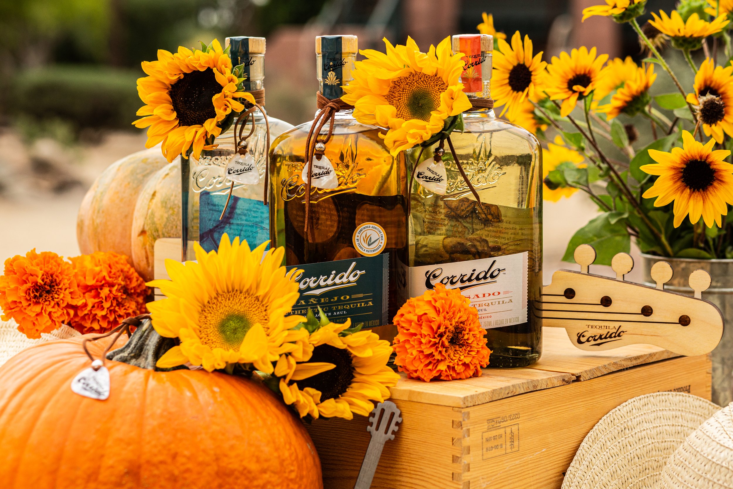 PHCN Fall Fest 2025-023.jpg