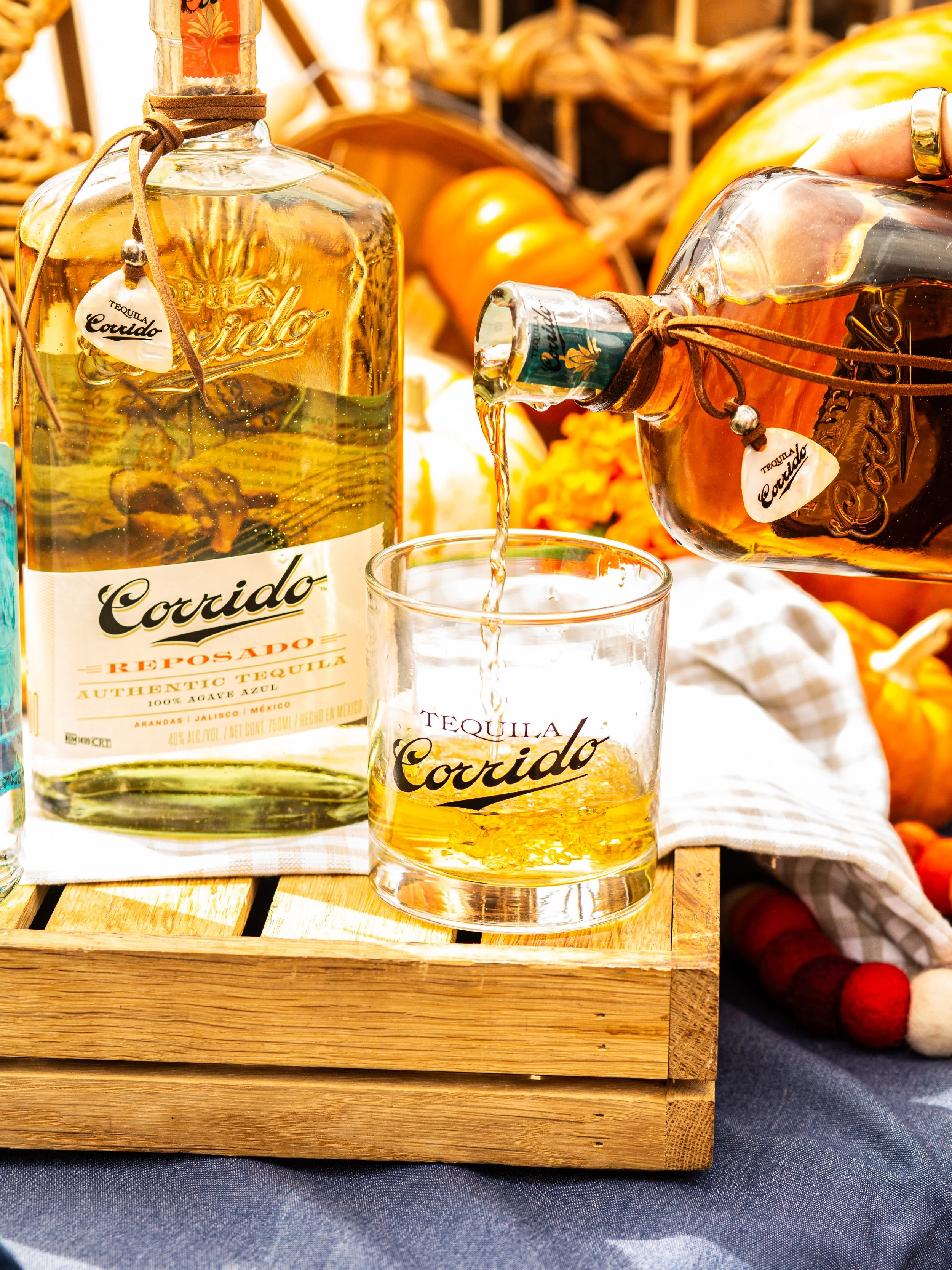 PHCN Fall Fest 2025-098.jpg