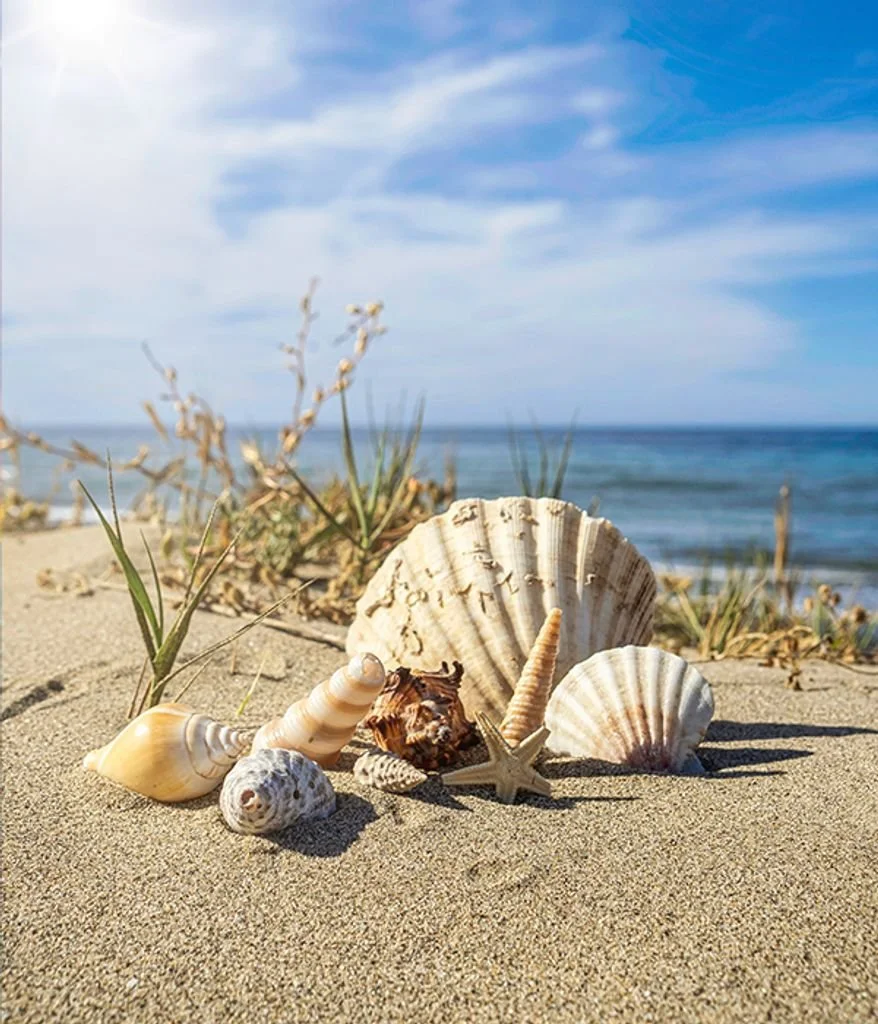 In Memory of Marilynn Kranke