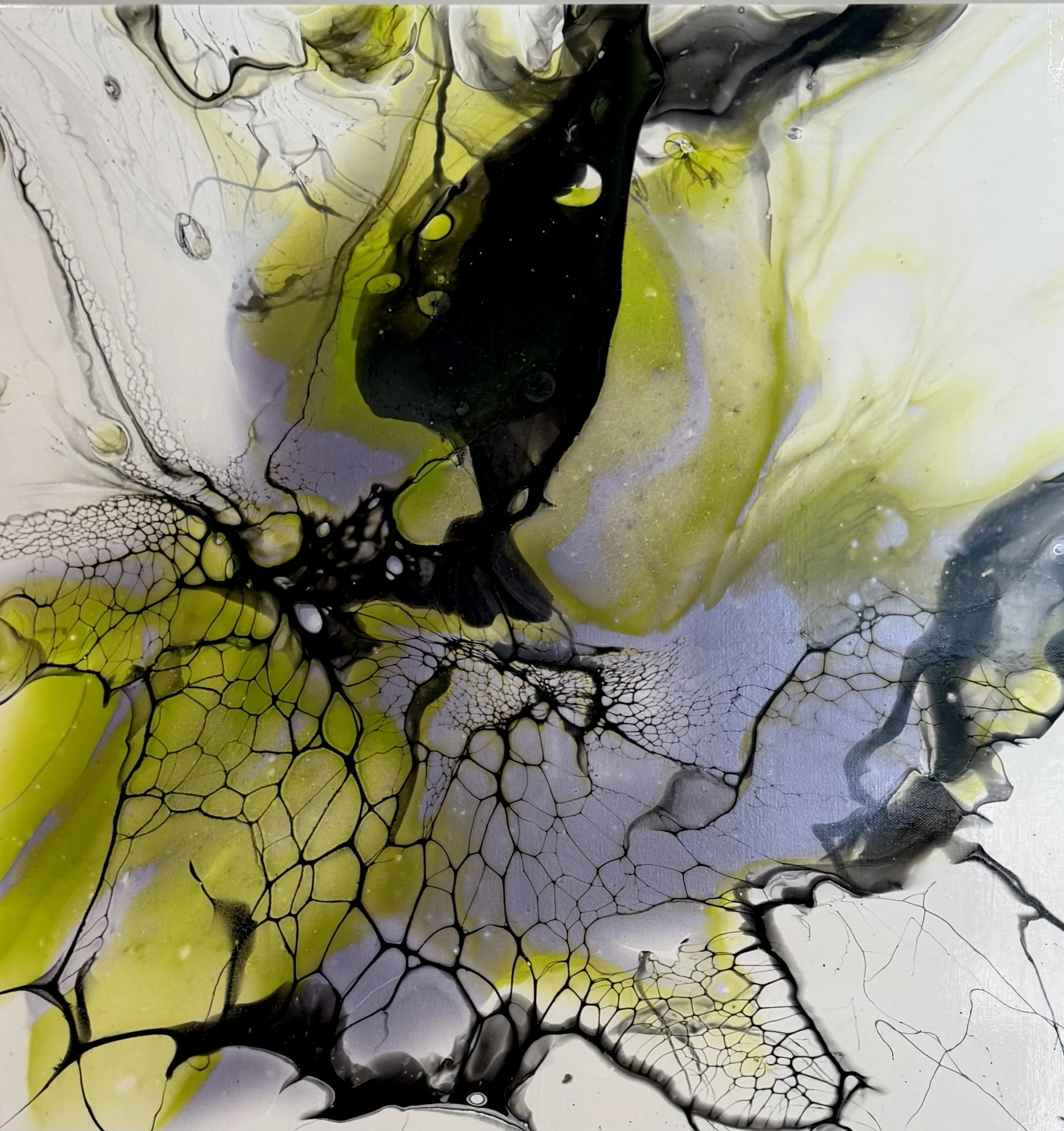 Floris Arcana - 24 x 24
