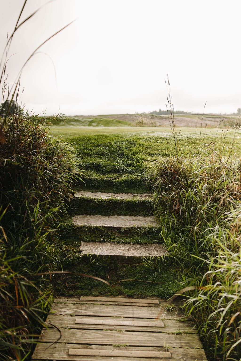 Olydoe-Windsong-2025-2312 (1).jpg