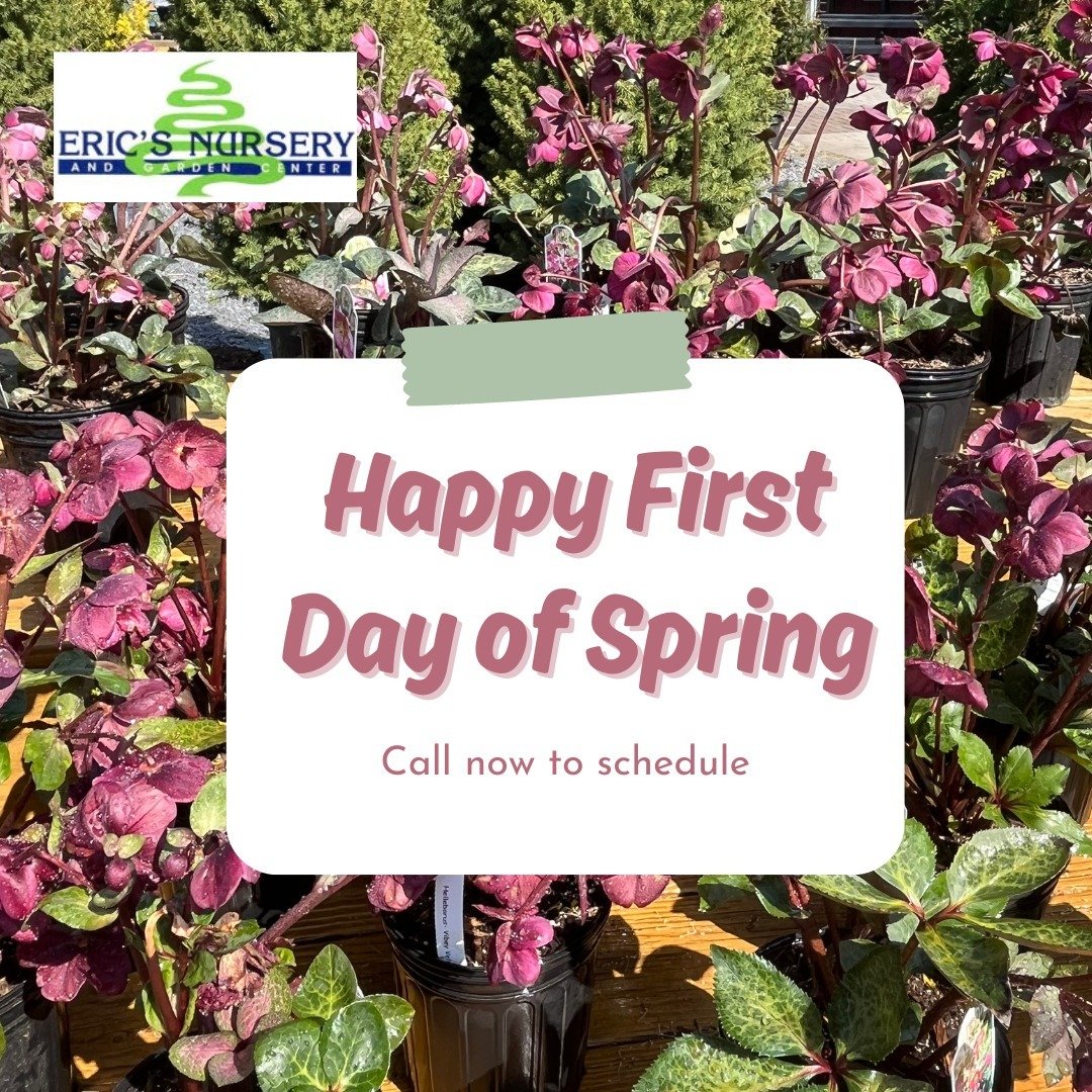 Happy First Day of Spring! Give us a call at (856)-231-0444 to schedule your spring clean up or mulching today!
